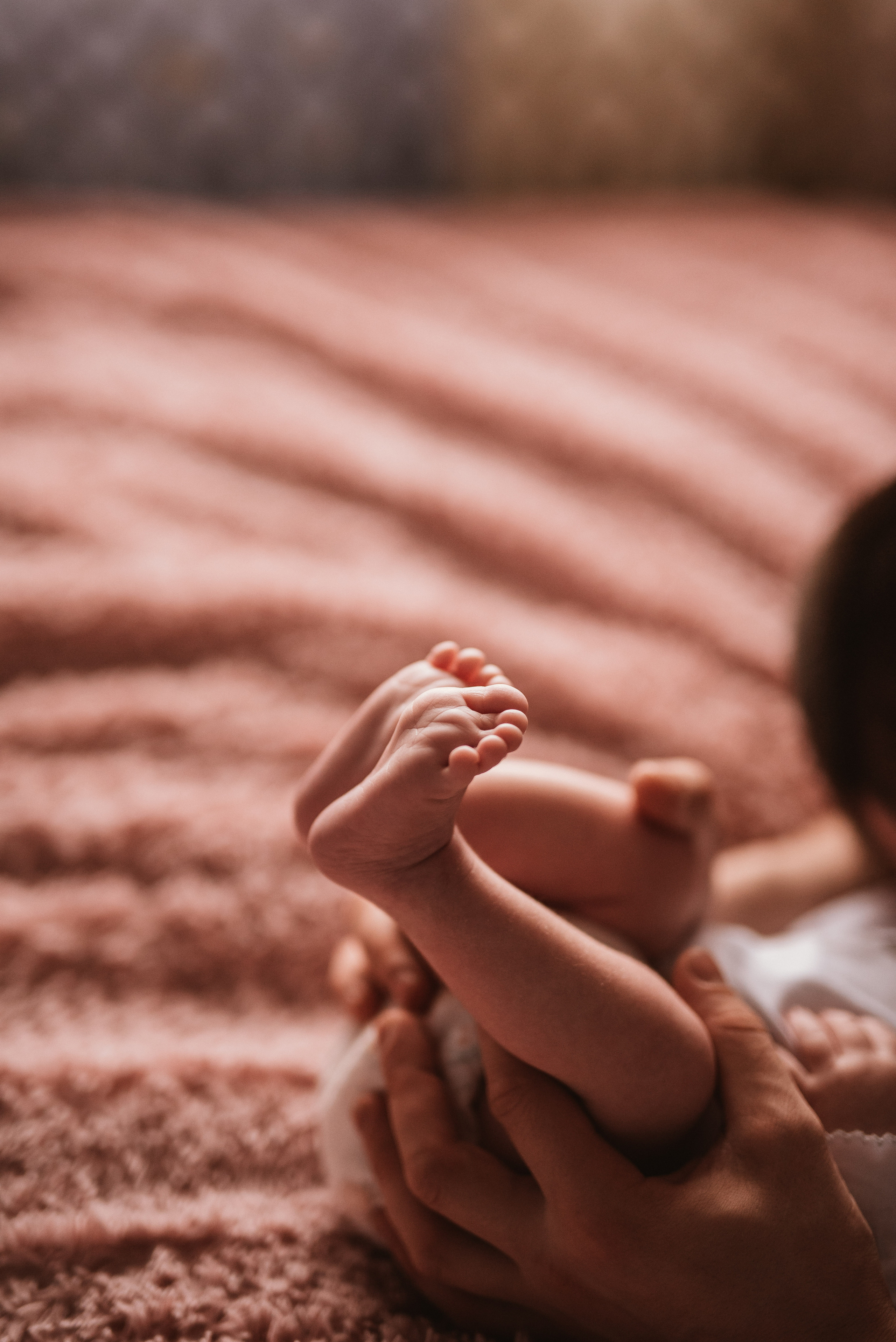 Семейные фотосессии. Семейный фотограф в Санкт-Петербурге Шидловская Анна