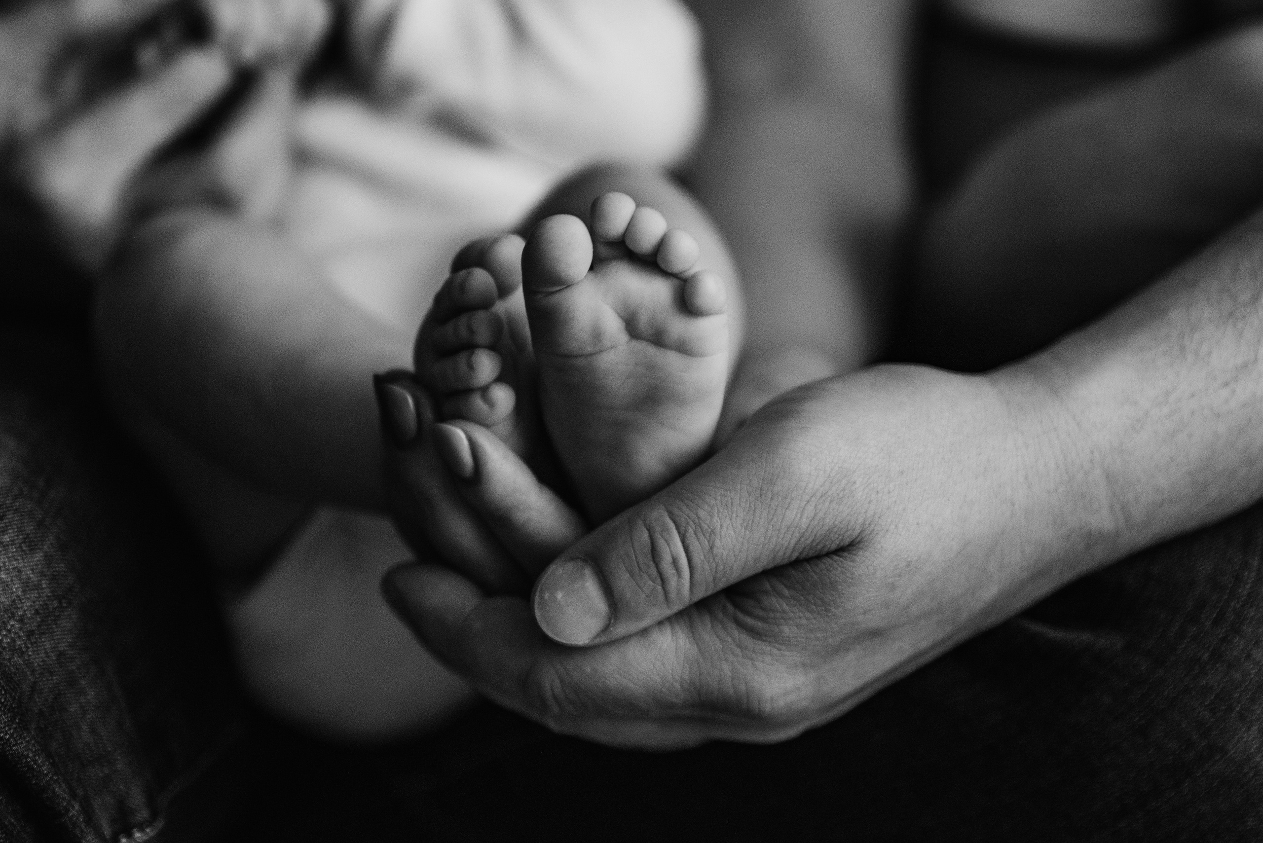 Семейные фотосессии. Семейный фотограф в Санкт-Петербурге Шидловская Анна