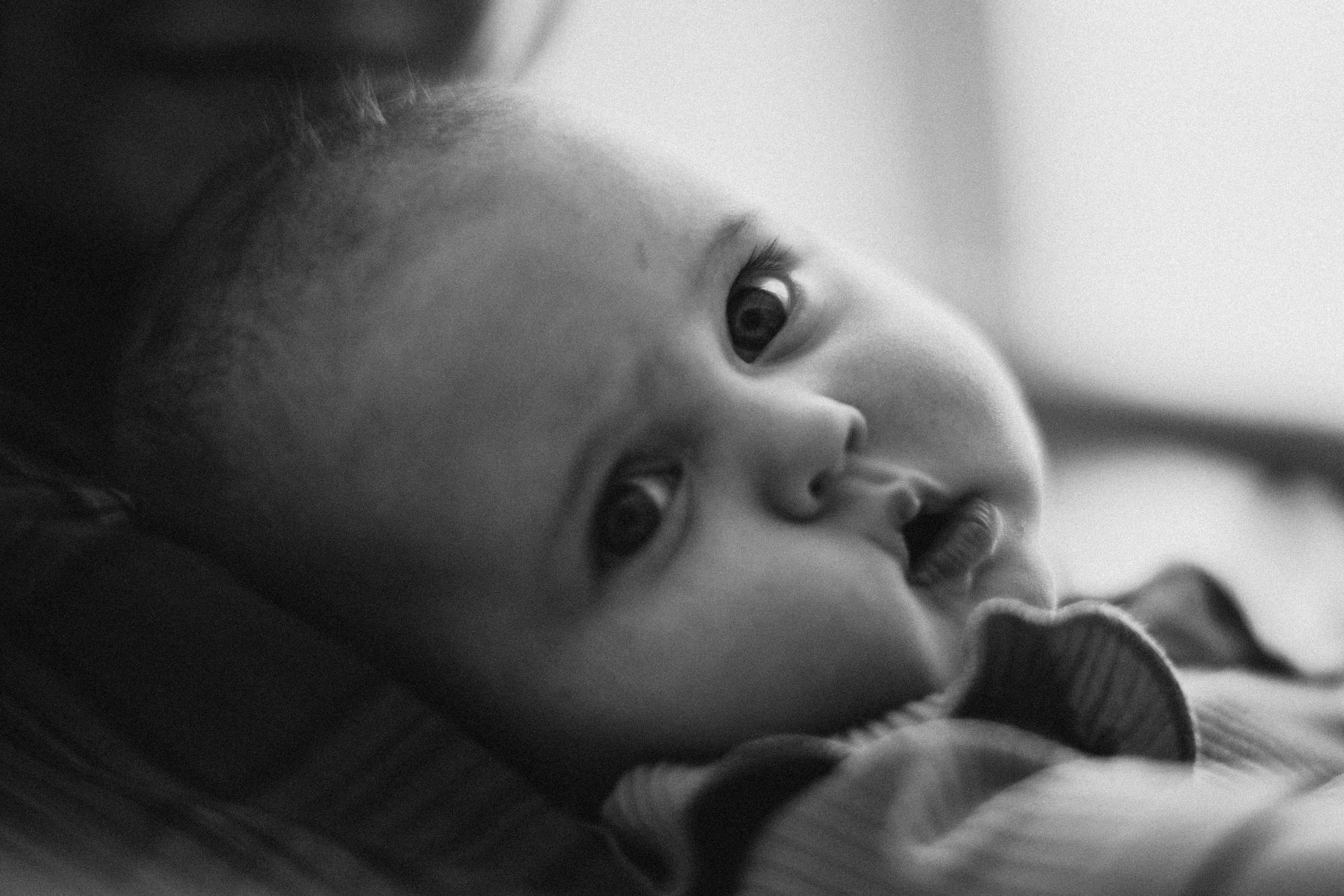 Семейные фотосессии. Семейный фотограф в Санкт-Петербурге Шидловская Анна