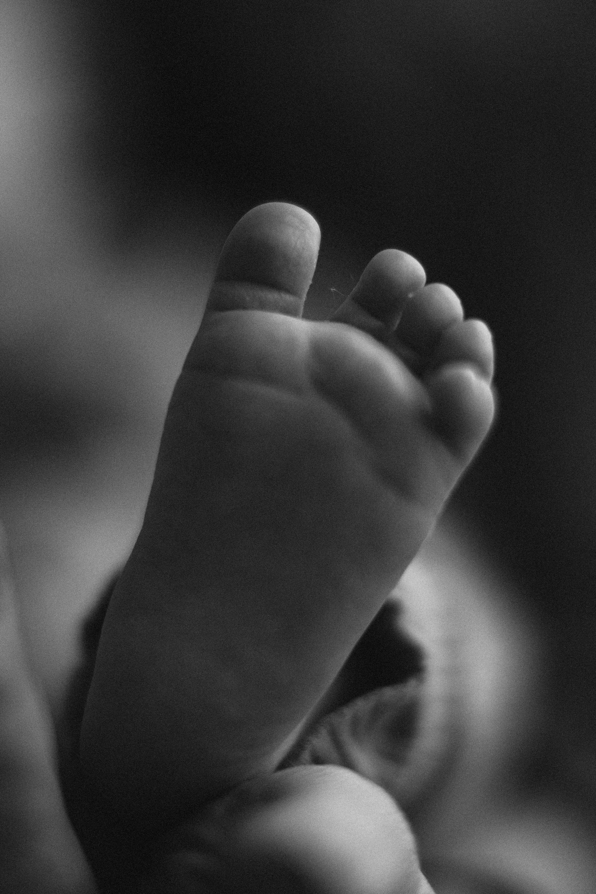 Семейные фотосессии. Семейный фотограф в Санкт-Петербурге Шидловская Анна