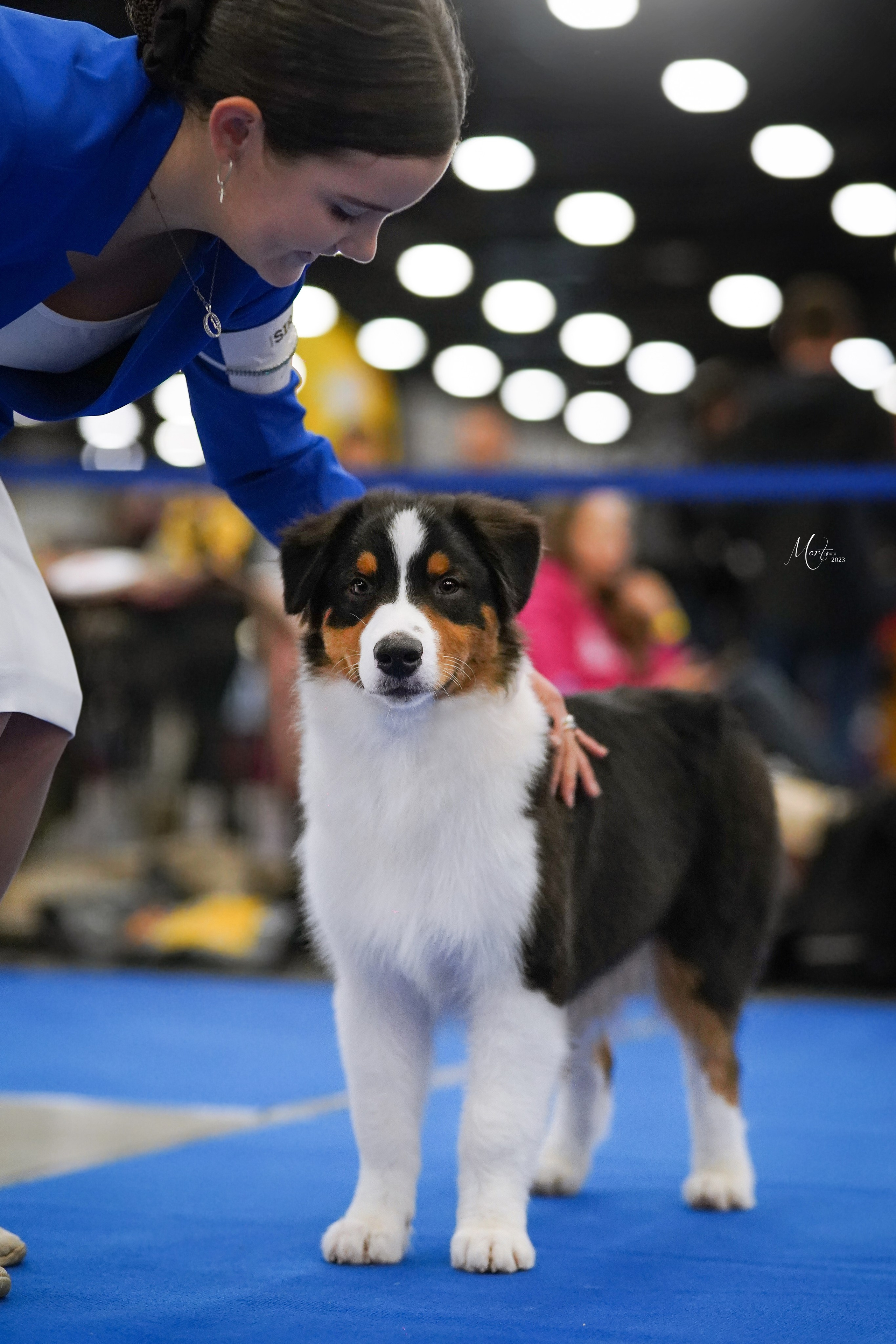 Выставки 2023. Фотограф-анималист в Санкт-Петербурге Яна Мартынова