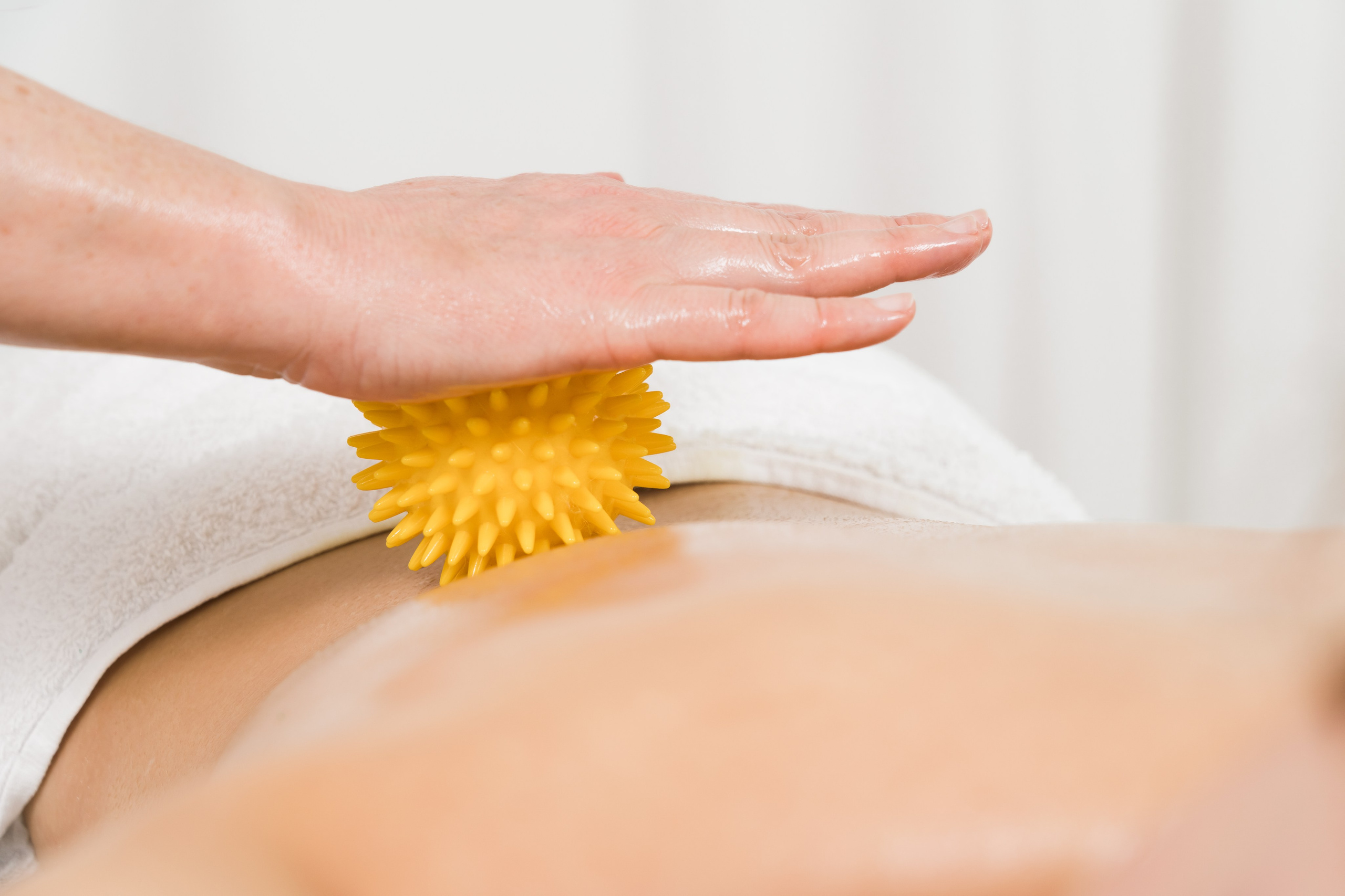 Фото для салона «Iqladies». Photomantis