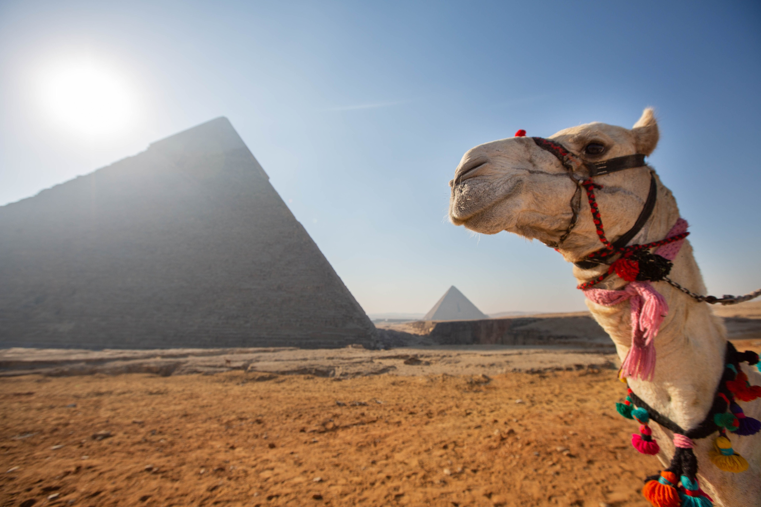 Египет. Репортажный фотограф в Москве Зуйко Оксана