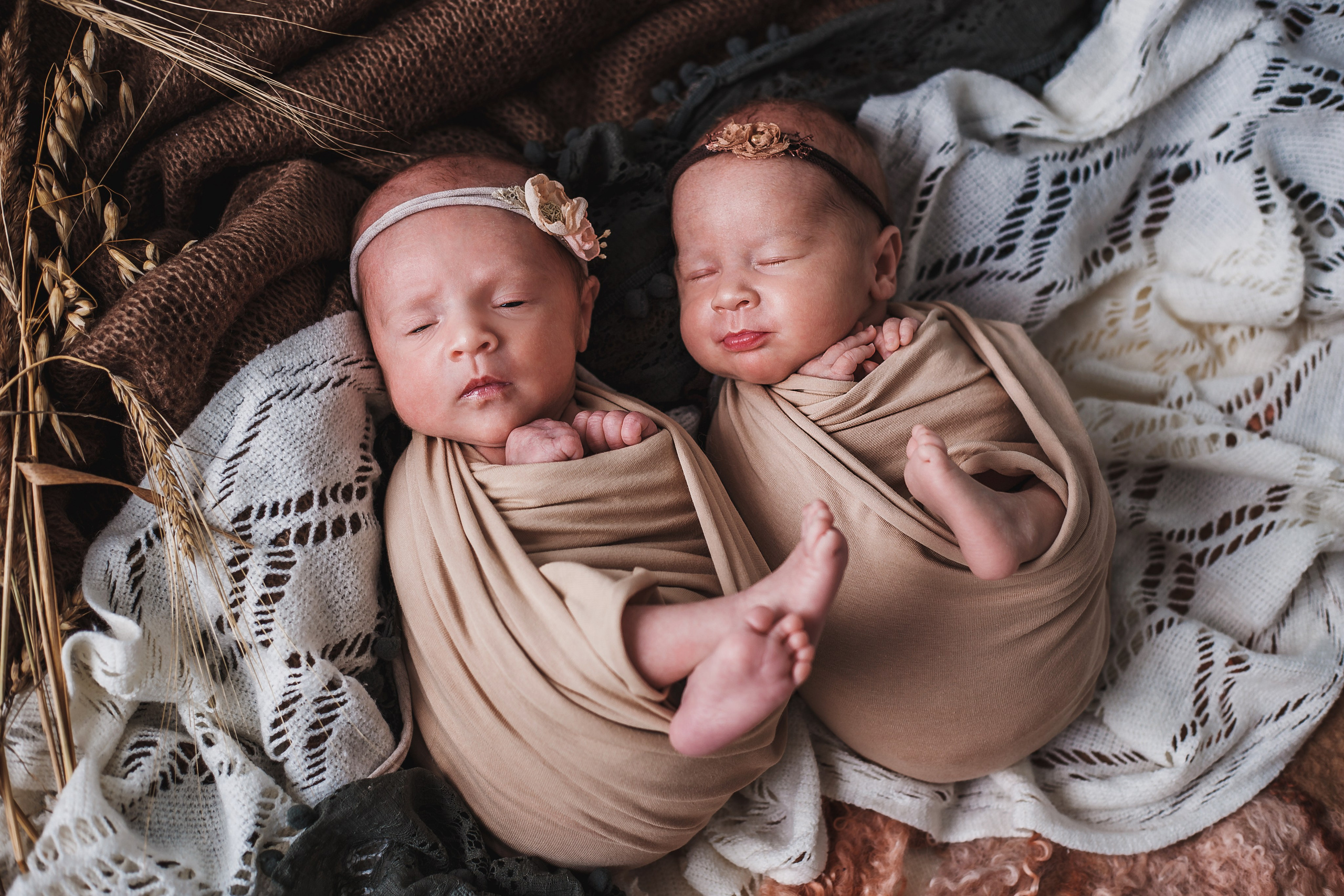 Таисия и Есения, пакет «Стандарт», 21 день. Фотограф новорождённых Екатерина Боброва. Ульяновск