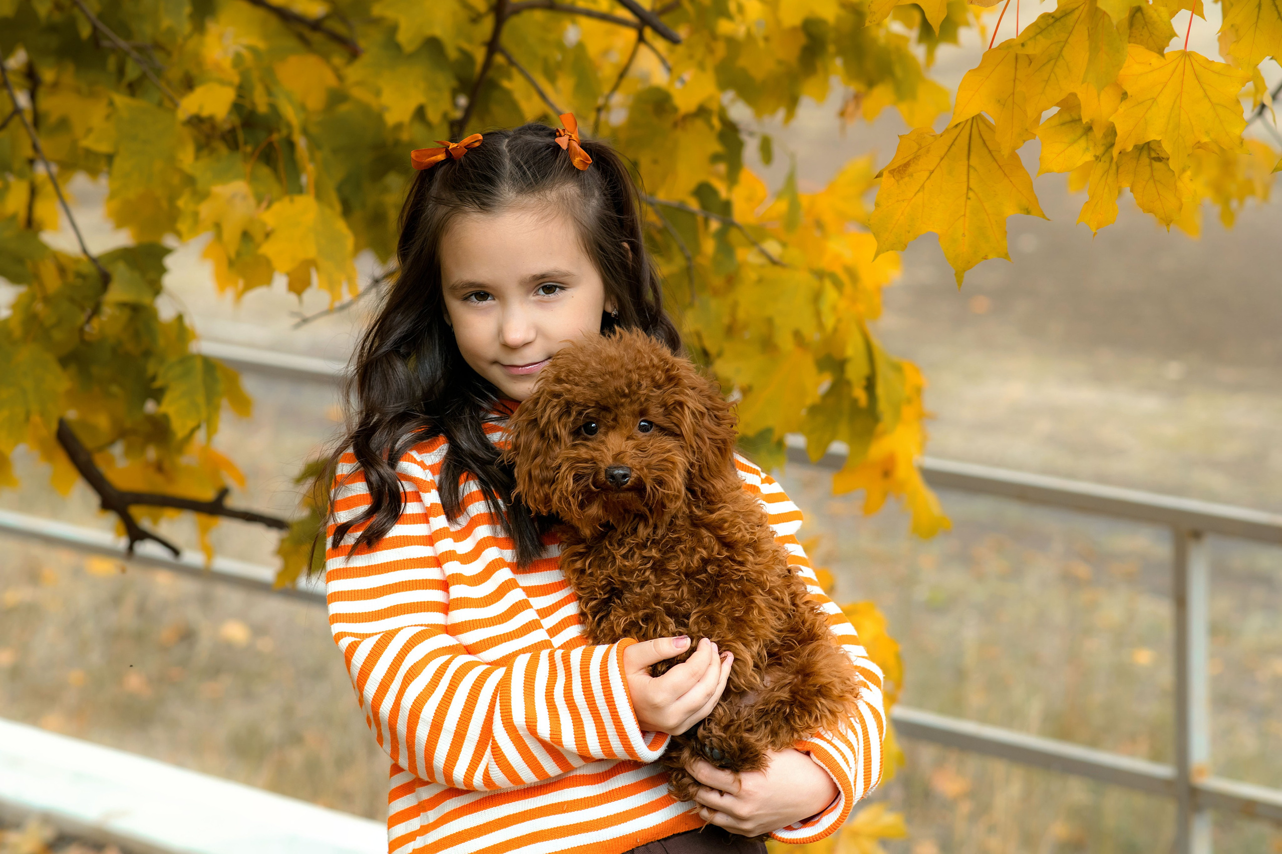 Осень. Фотограф Ольга Холина|Дебальцево