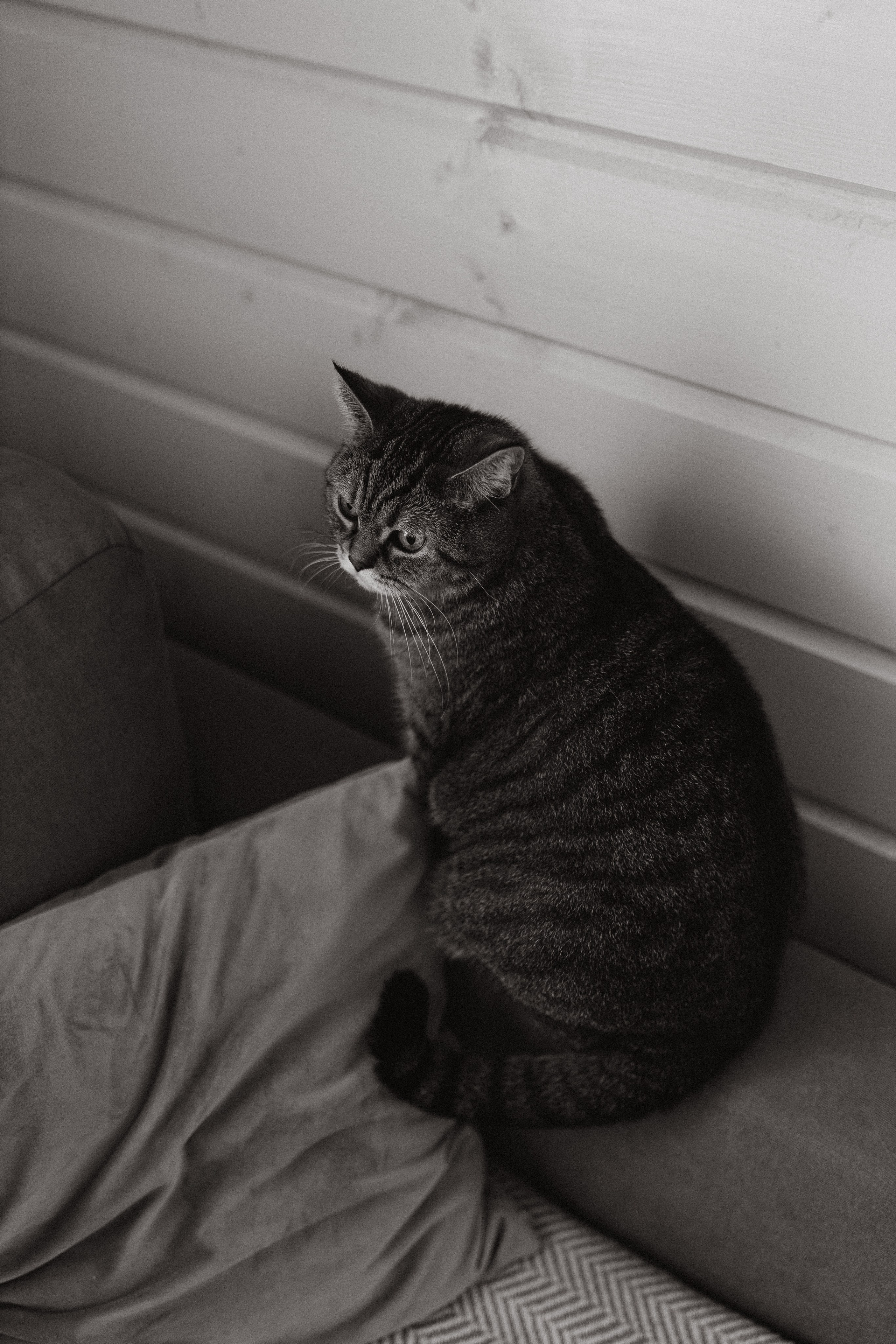 Яна и Тимофей. Домашняя съёмка. Семейный фотограф Тихвин, Санкт-Петербург и ЛО