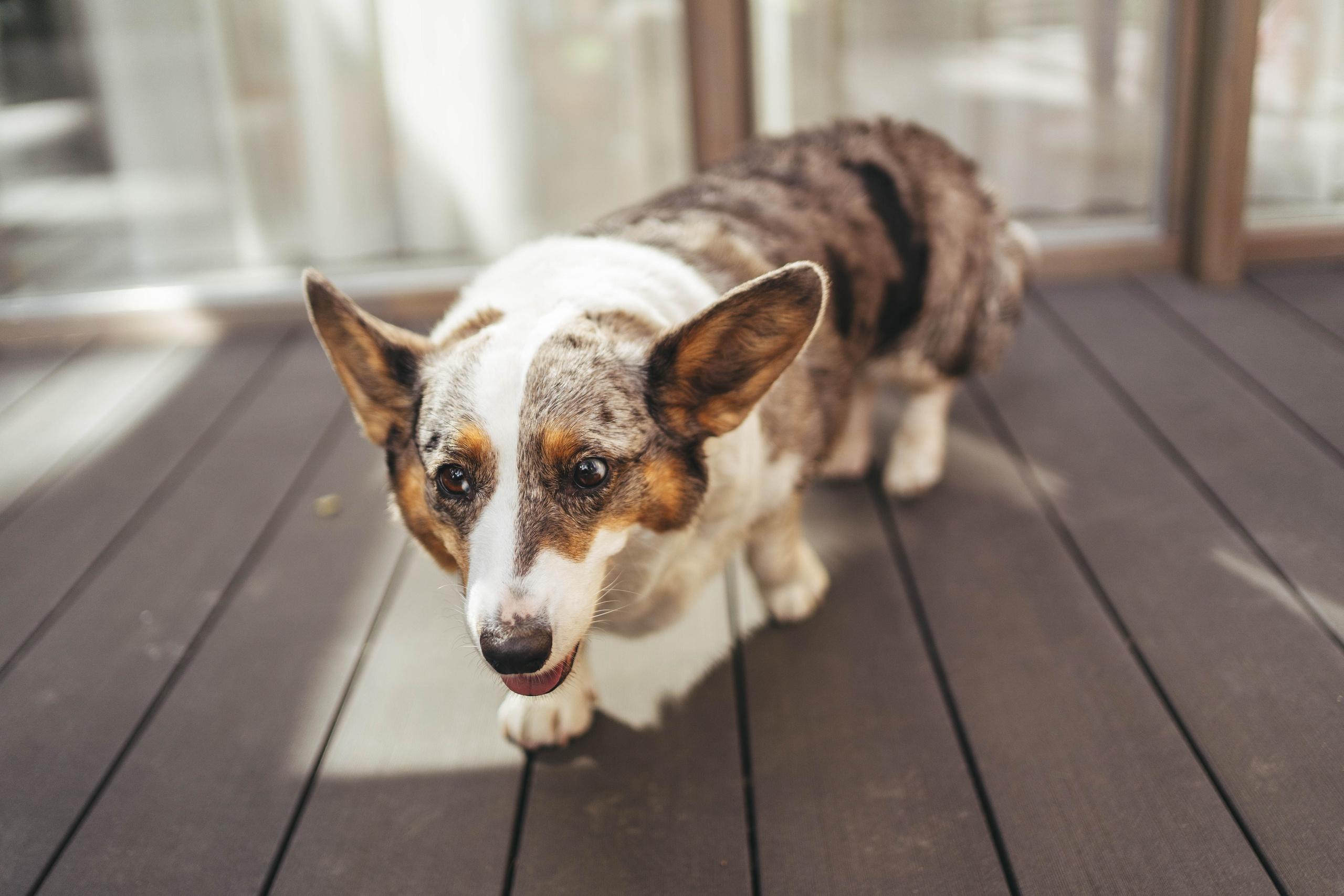 Кристина 8 лет. Главная