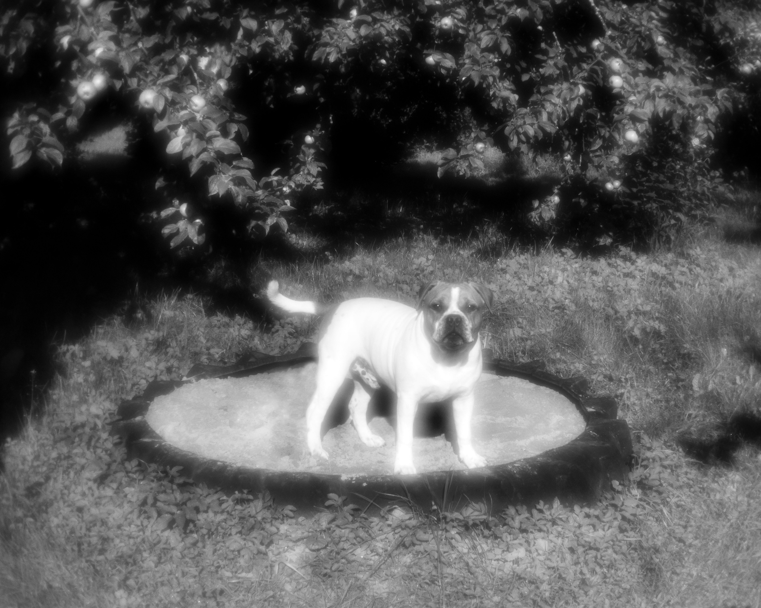 Ч.б. фотографии. Фотографии Лены Соколовой