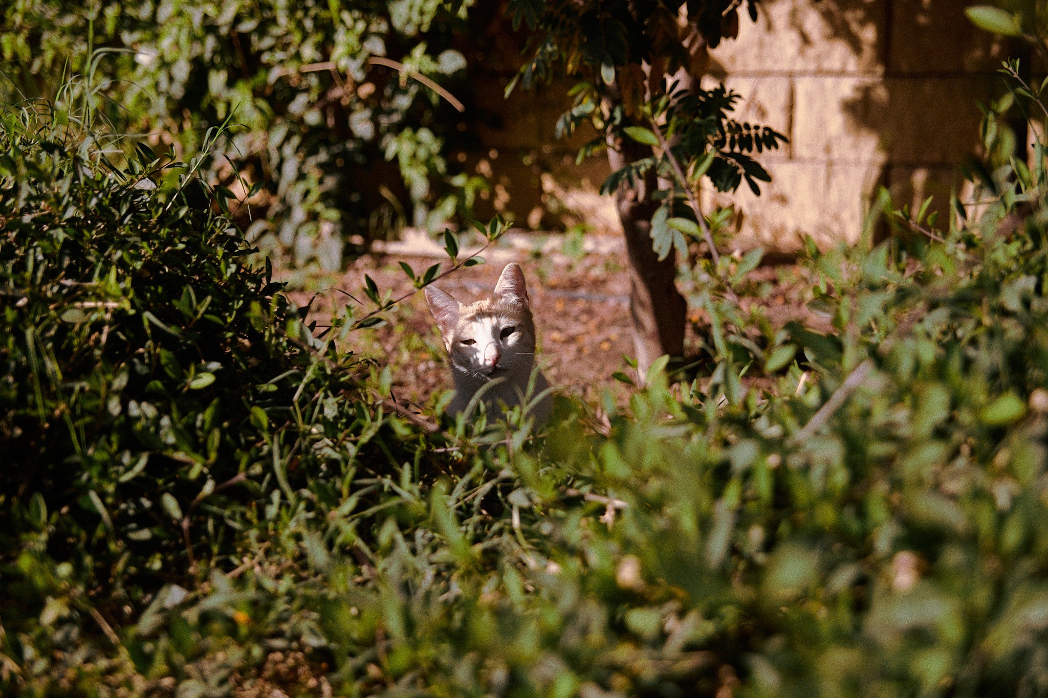 Другое. Jorgis Talè — photographer, kind person, teacher of arts and other mag