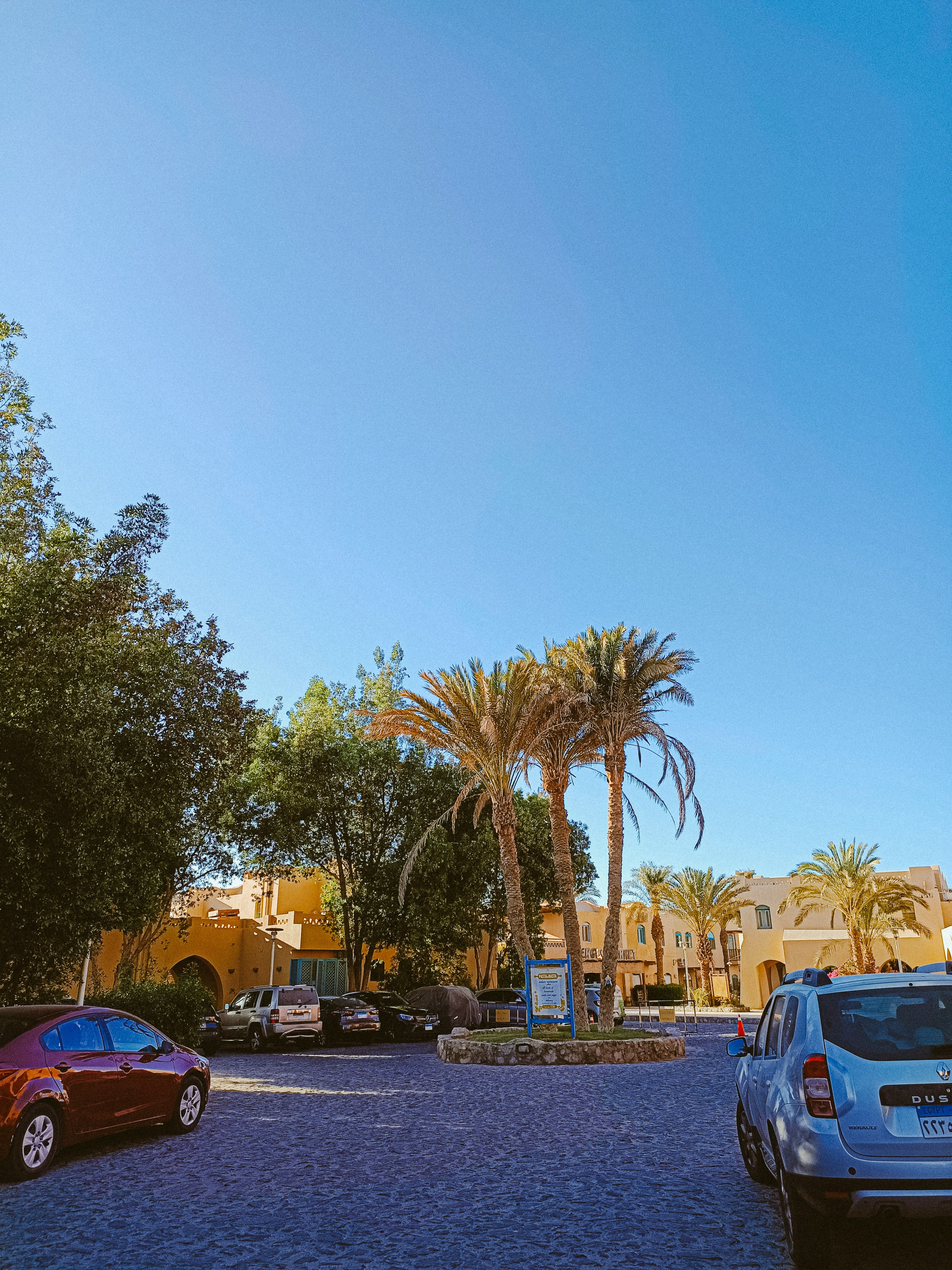 Мобильная. Jorgis — фотограф в Хургаде / обучение фотографии