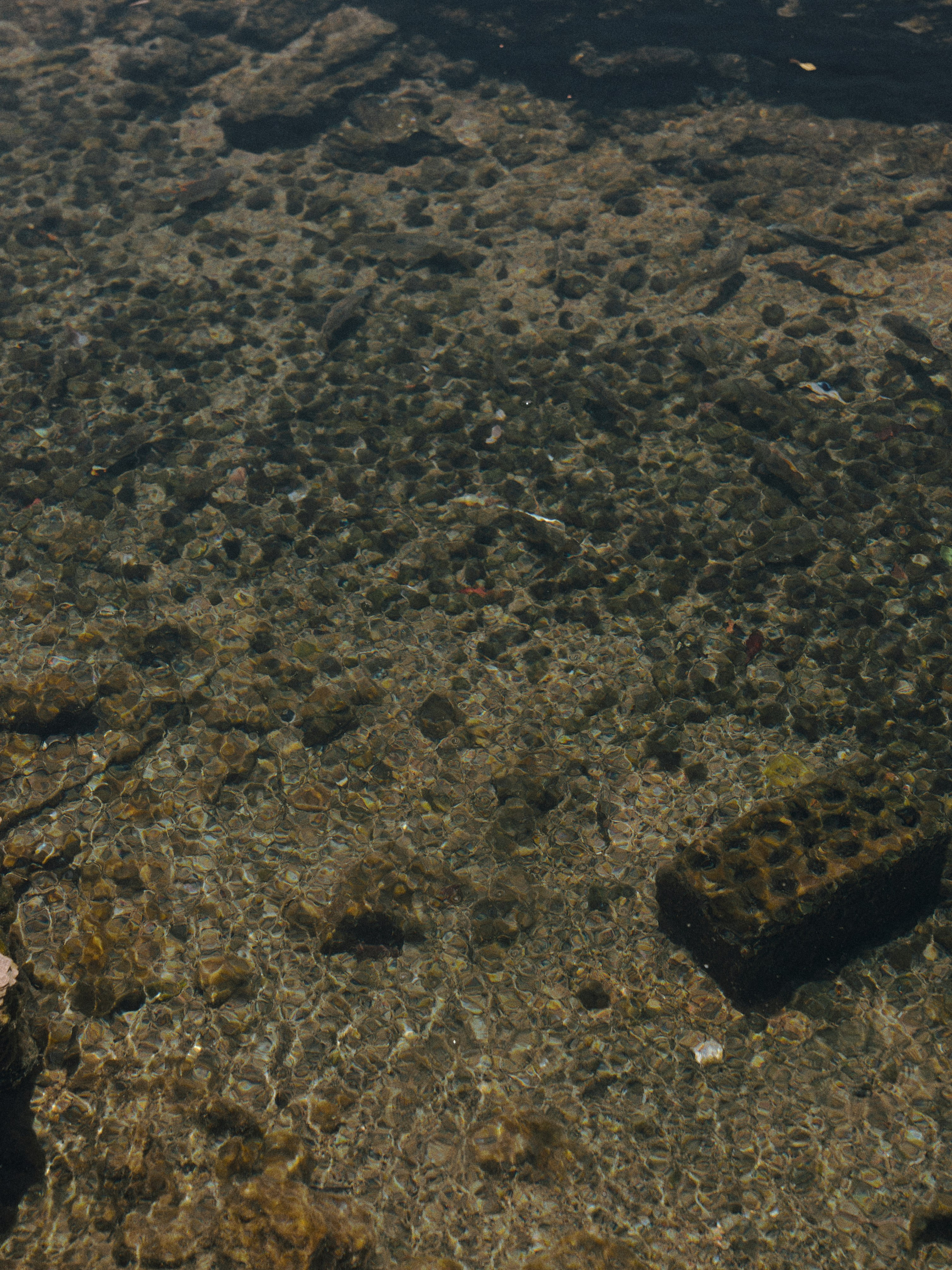 Природа. Jorgis Talè — photographer, kind person, teacher of arts and other mag