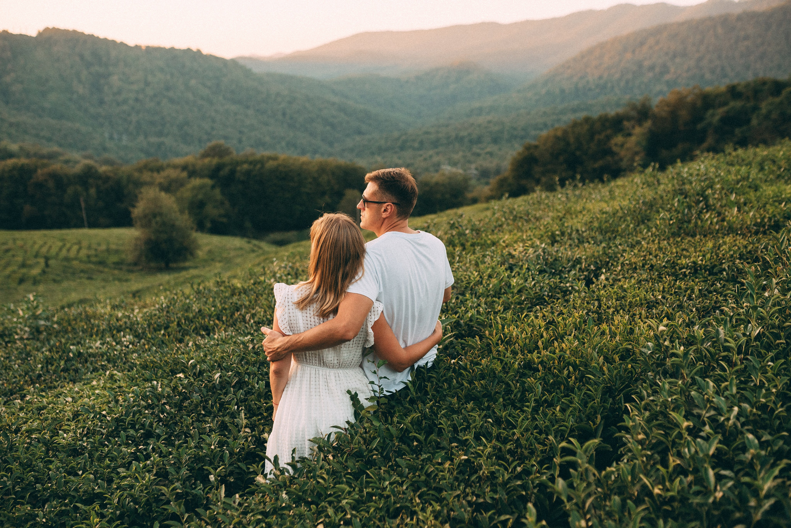 Чайные плантации 🌿✨. Фотограф в Сочи — Маргарита Поганова