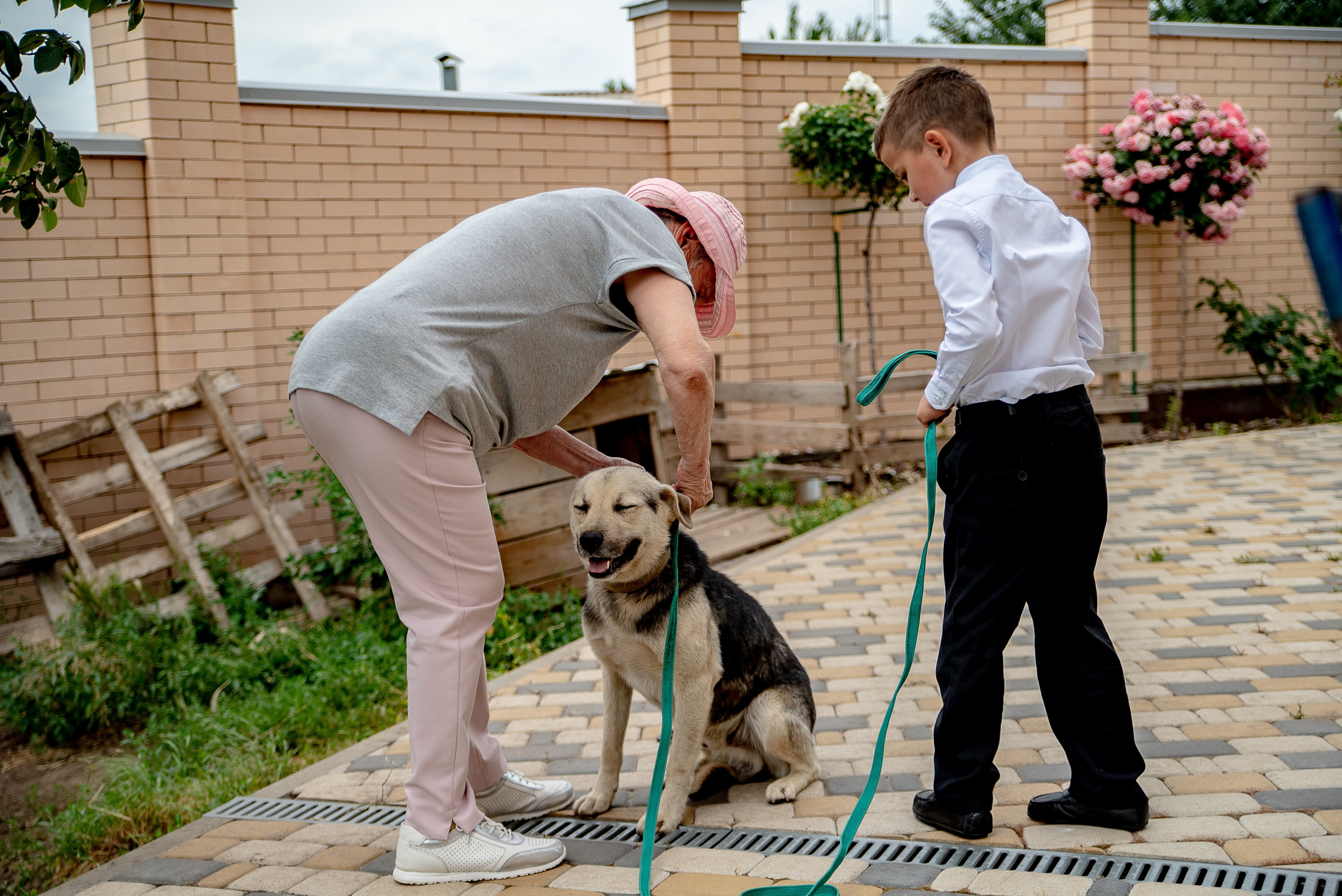 Милое торжество. Максим Матвийченко и Виктория Басова профессионалы своего дела