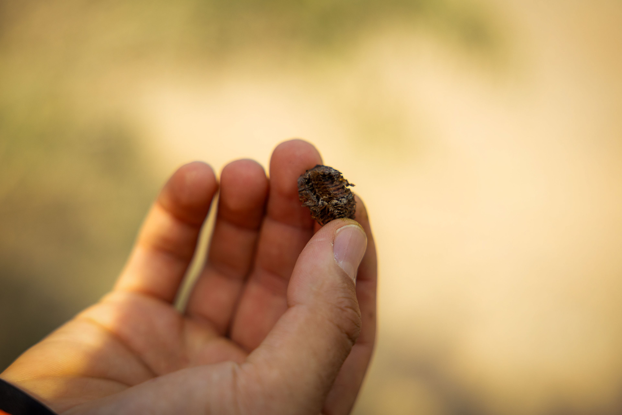 Казахстан (осень 2024). Фотограф Виноградов Константин