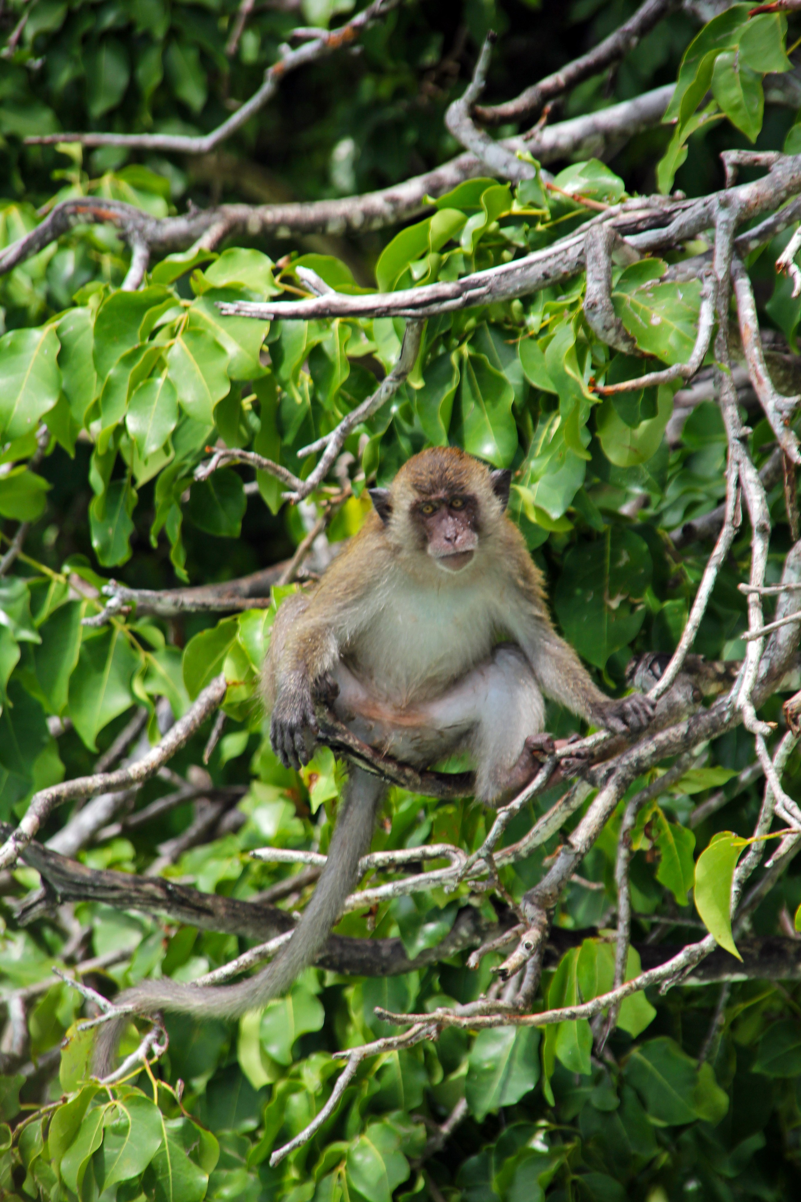 Пхукет. Фотограф Алексей Федорищев