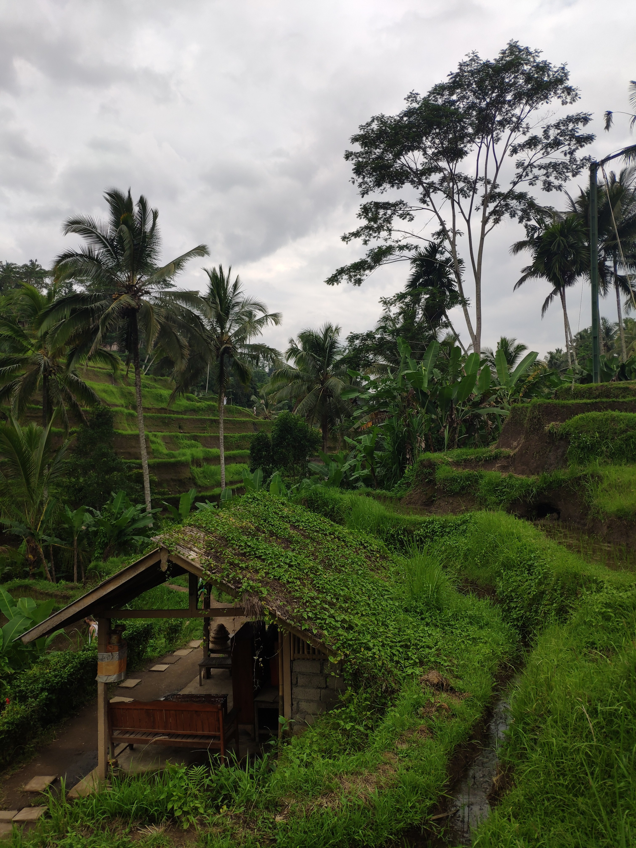 Indonesia (Bali Island). Фотограф Алексей Федорищев