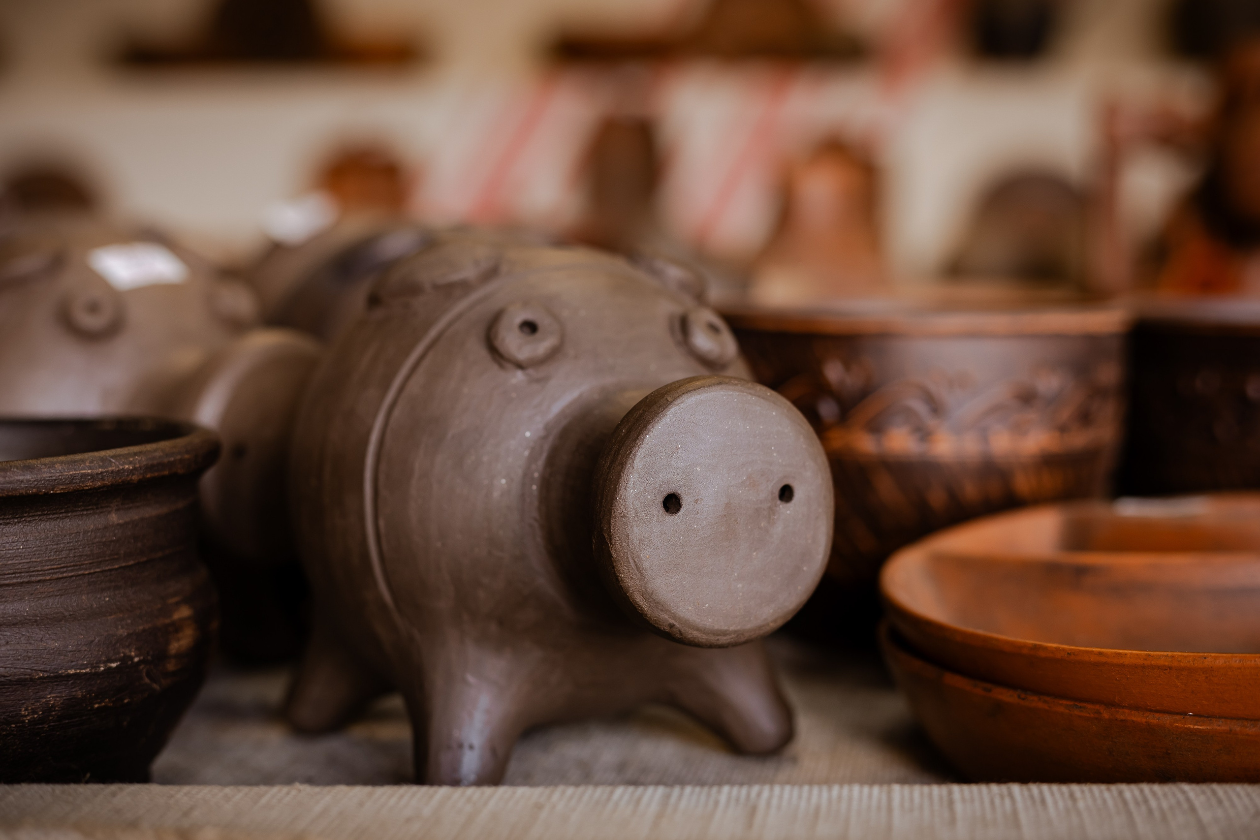 Фотосъемка собак, щенков, на выставках, фотограф анималист Россия воронеж. Питомник собак Акита, Хаски, Корги