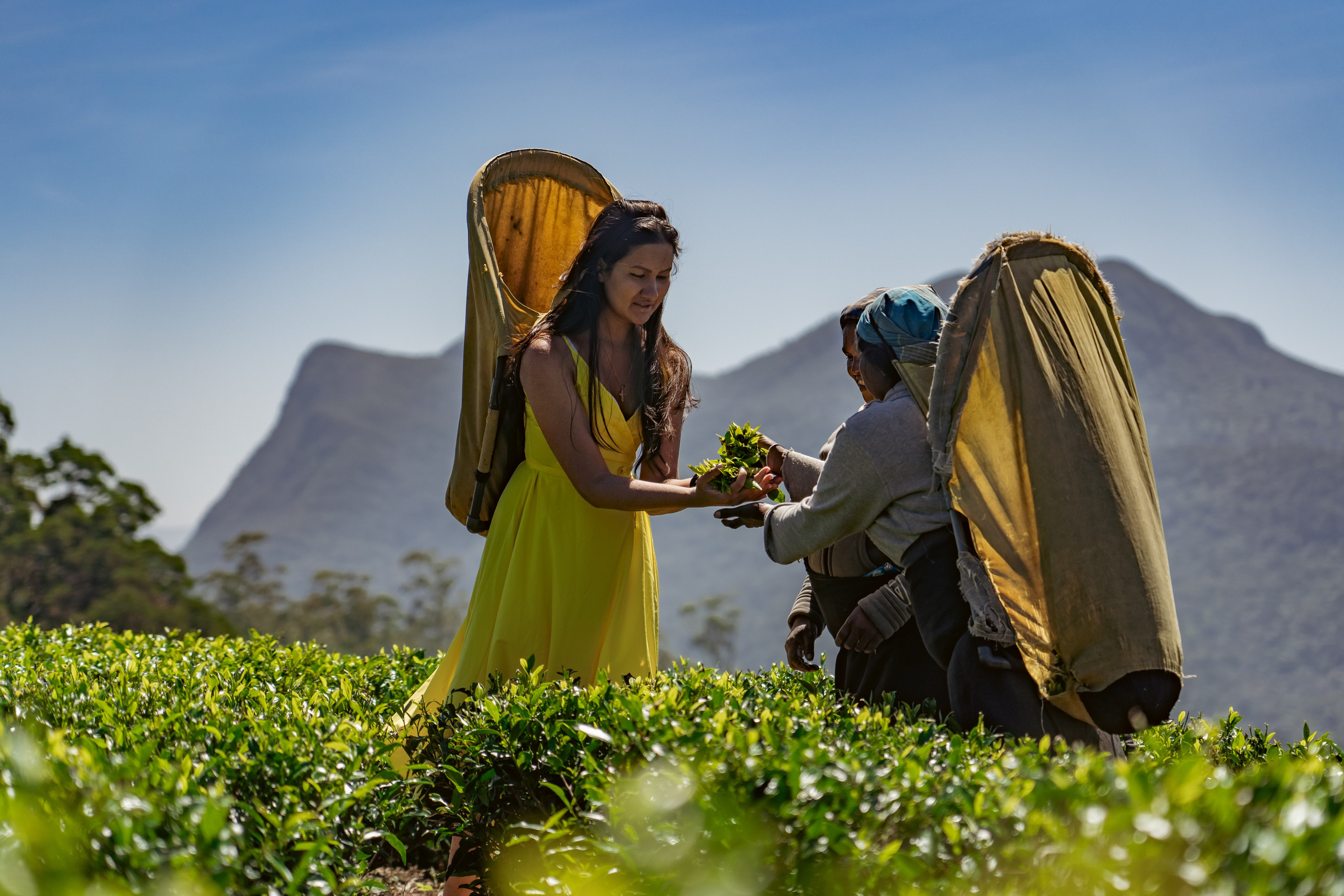 Promo content shooting for Ceylon Forward Tours