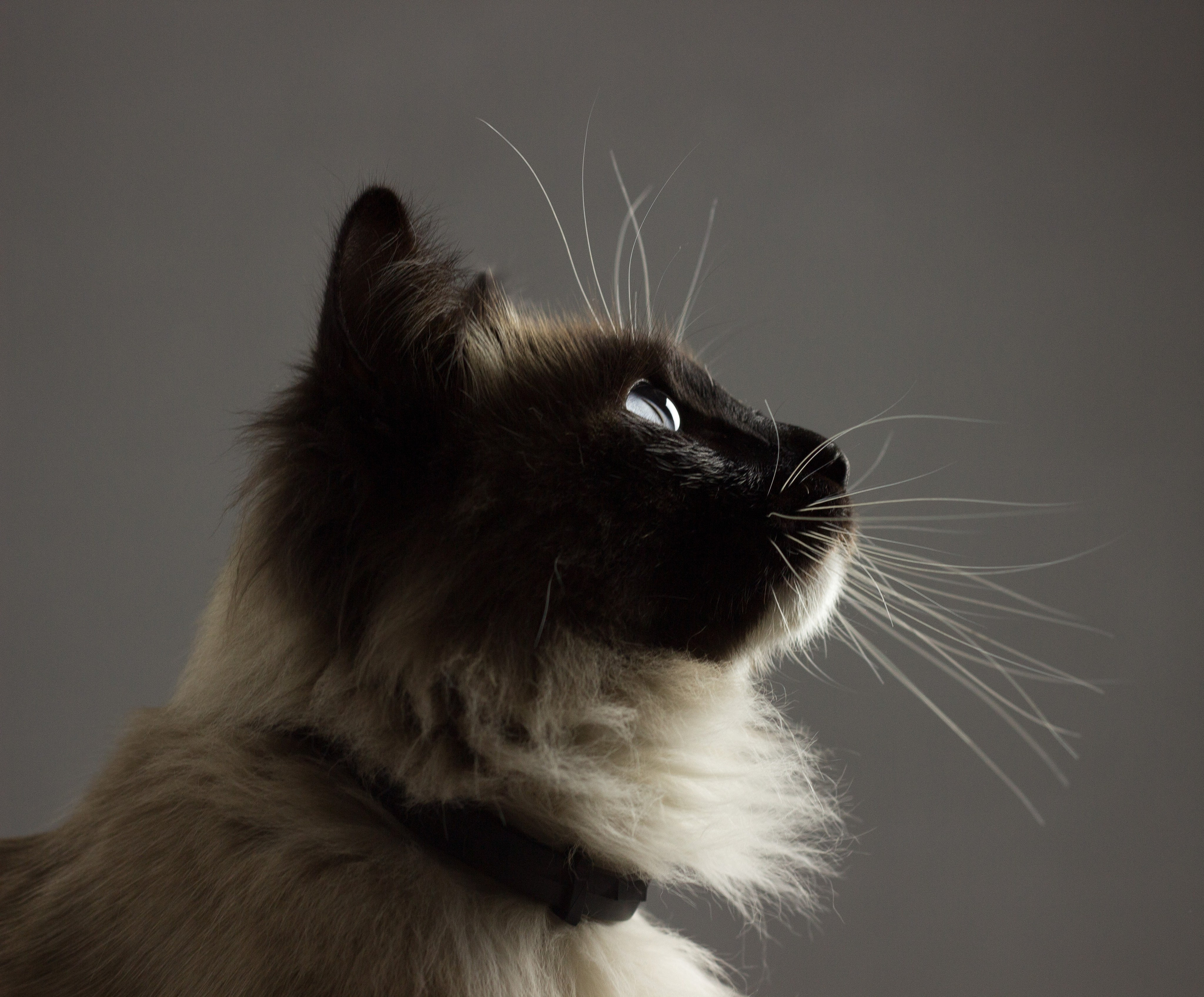 Сергей и Наталья. Фотограф Юлия Левандовская, п.Ясногорск