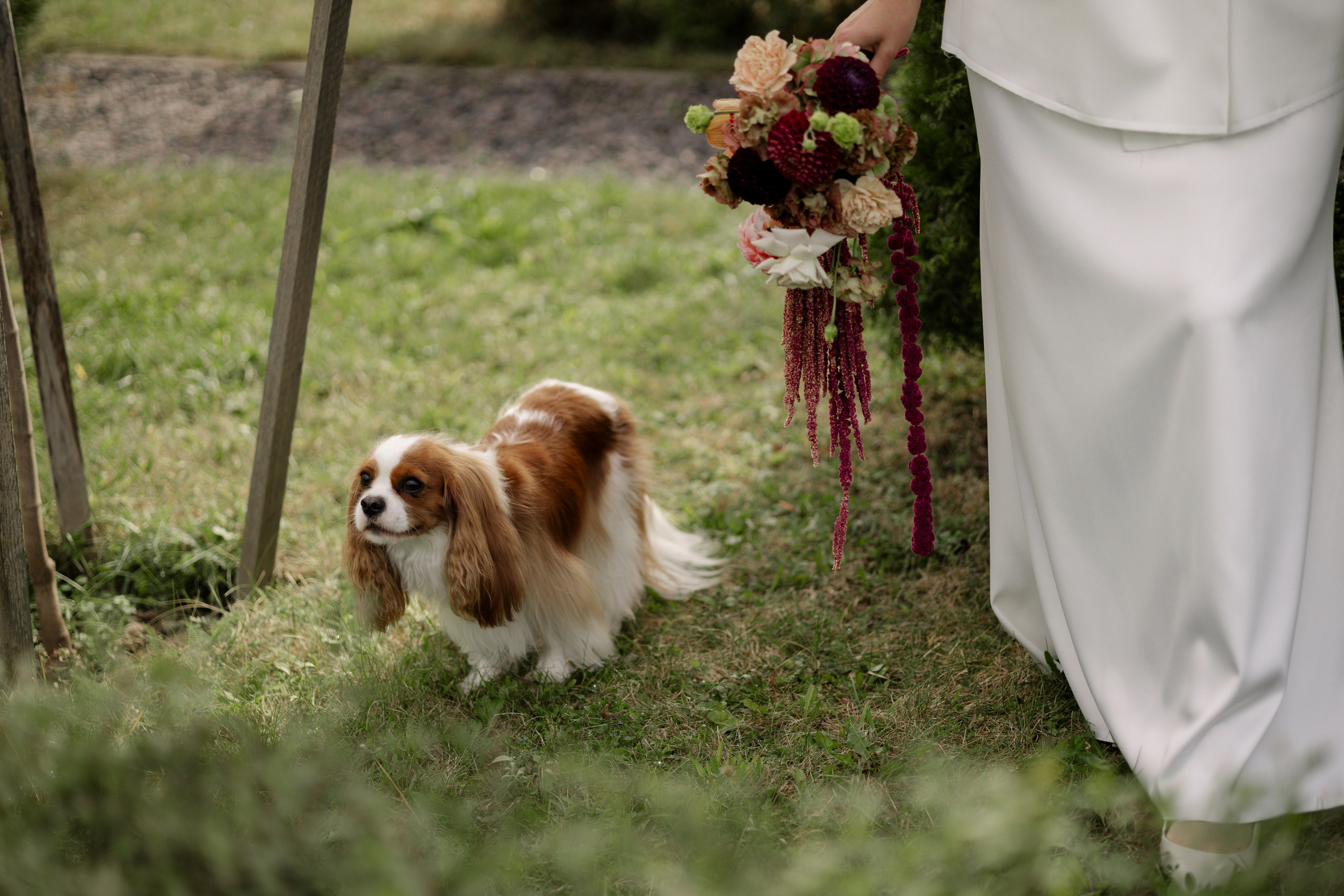 K&A. Свадебный фотограф Лиза Макатович Беларусь Минск