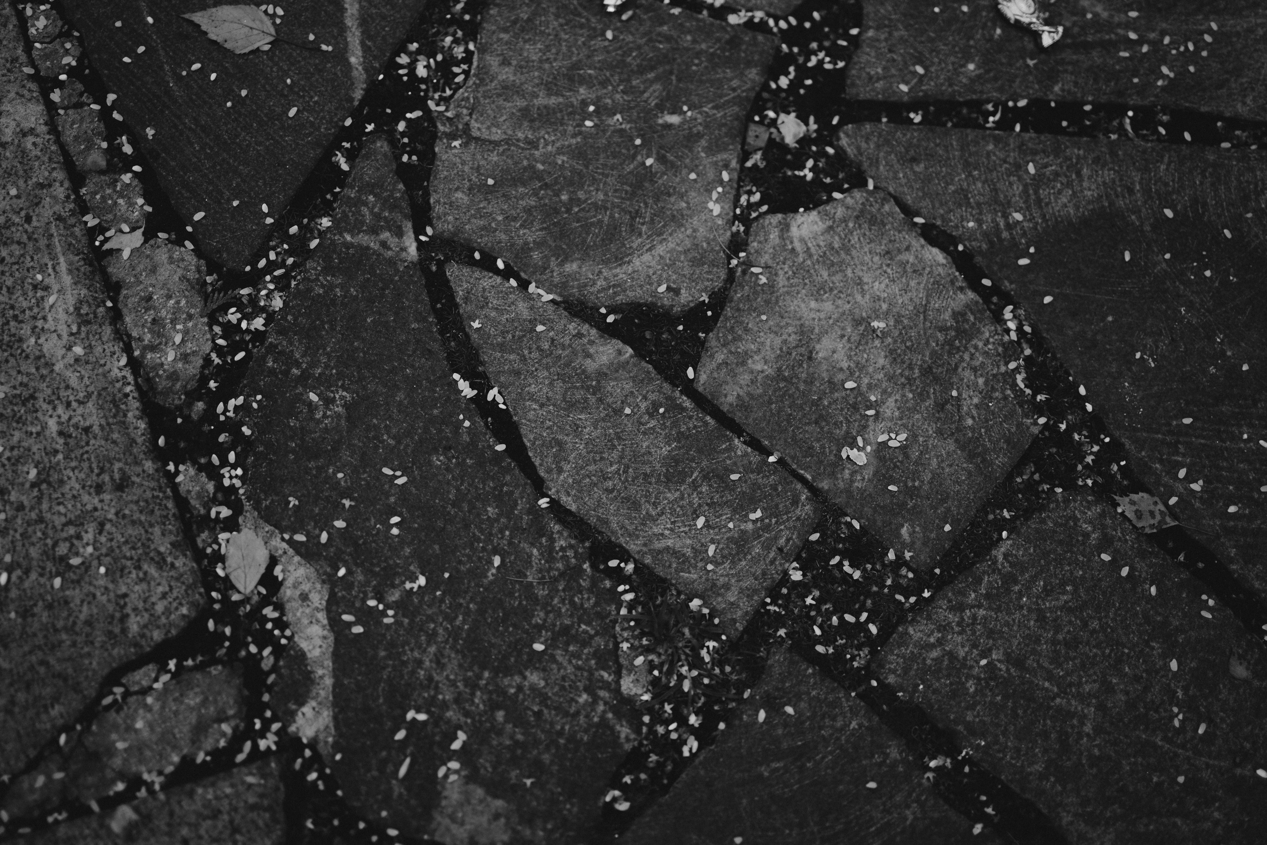 K&A. Свадебный фотограф Лиза Макатович Беларусь Минск