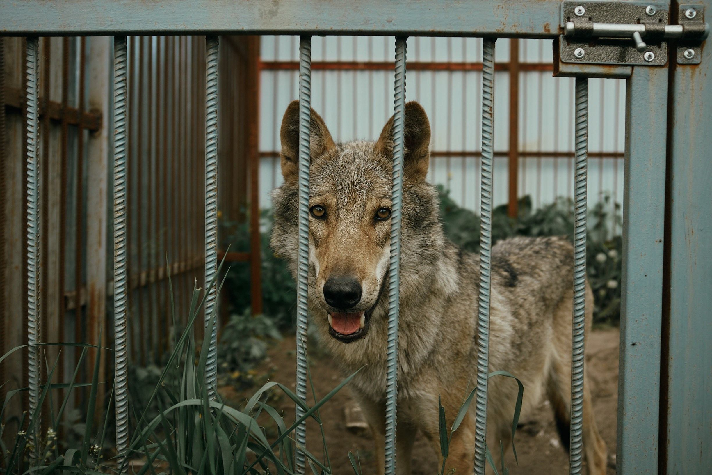 Портреты. Ольга Шкотова документальный фотограф