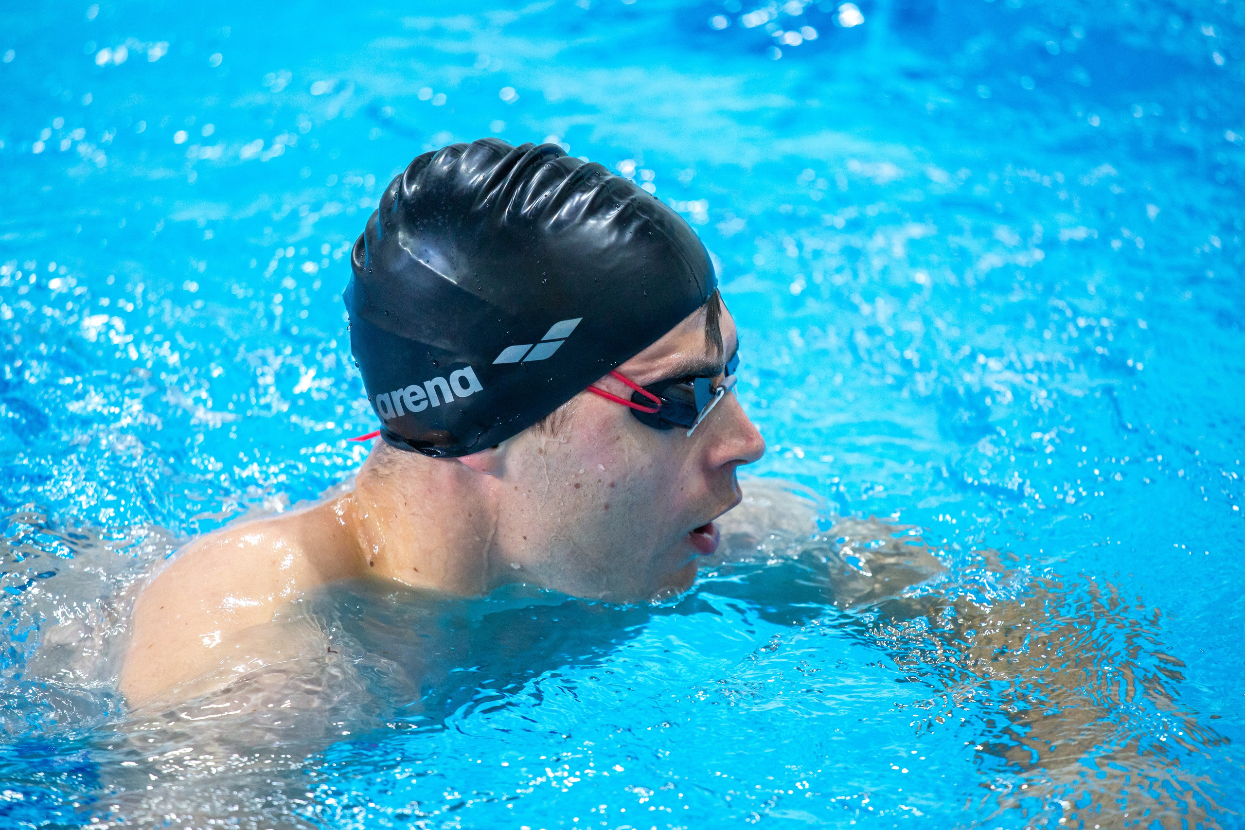 Турнир по плаванию. Репортажный, семейный, свадебный, портретный фотограф