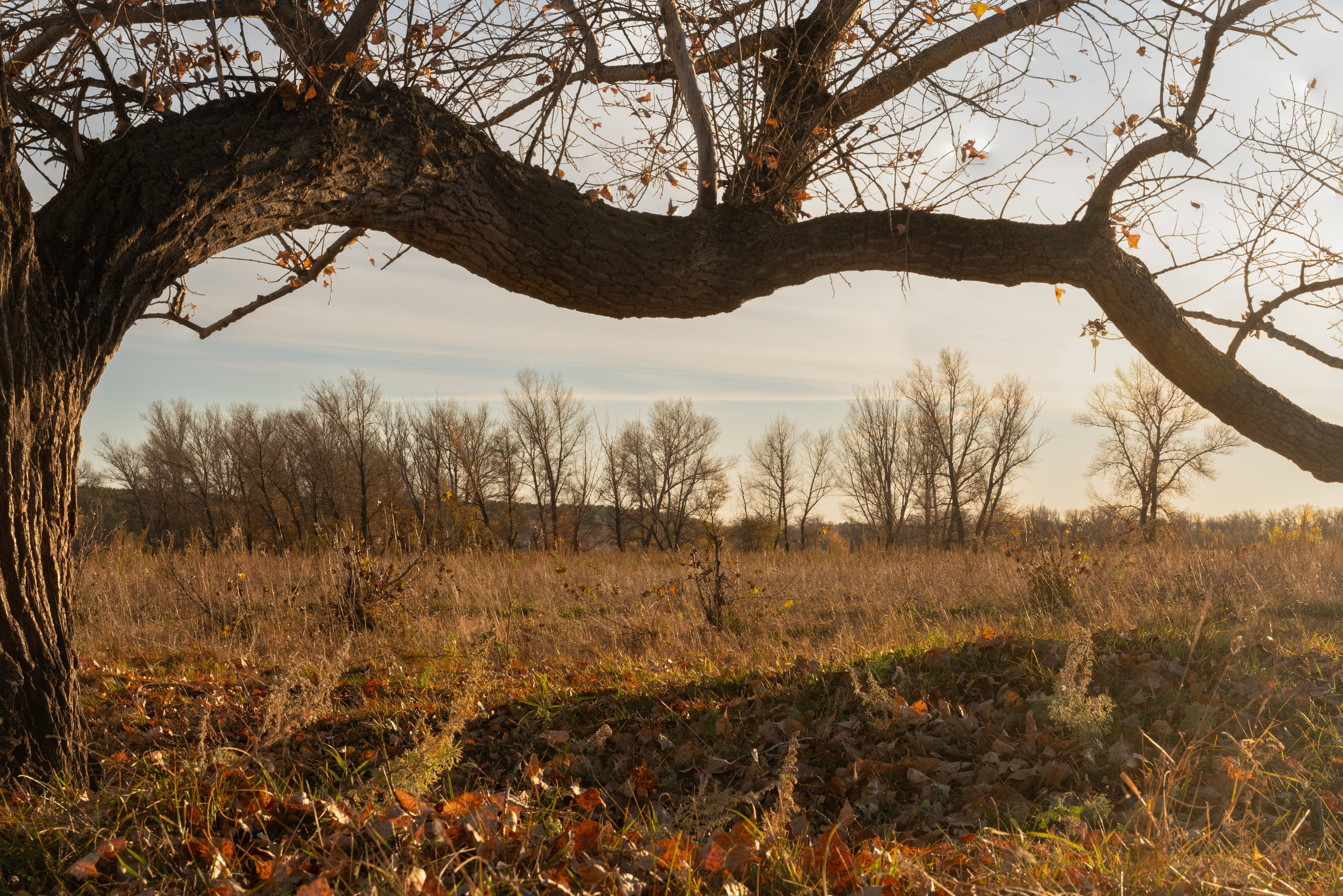 Курганская область. Daria wanderer photography