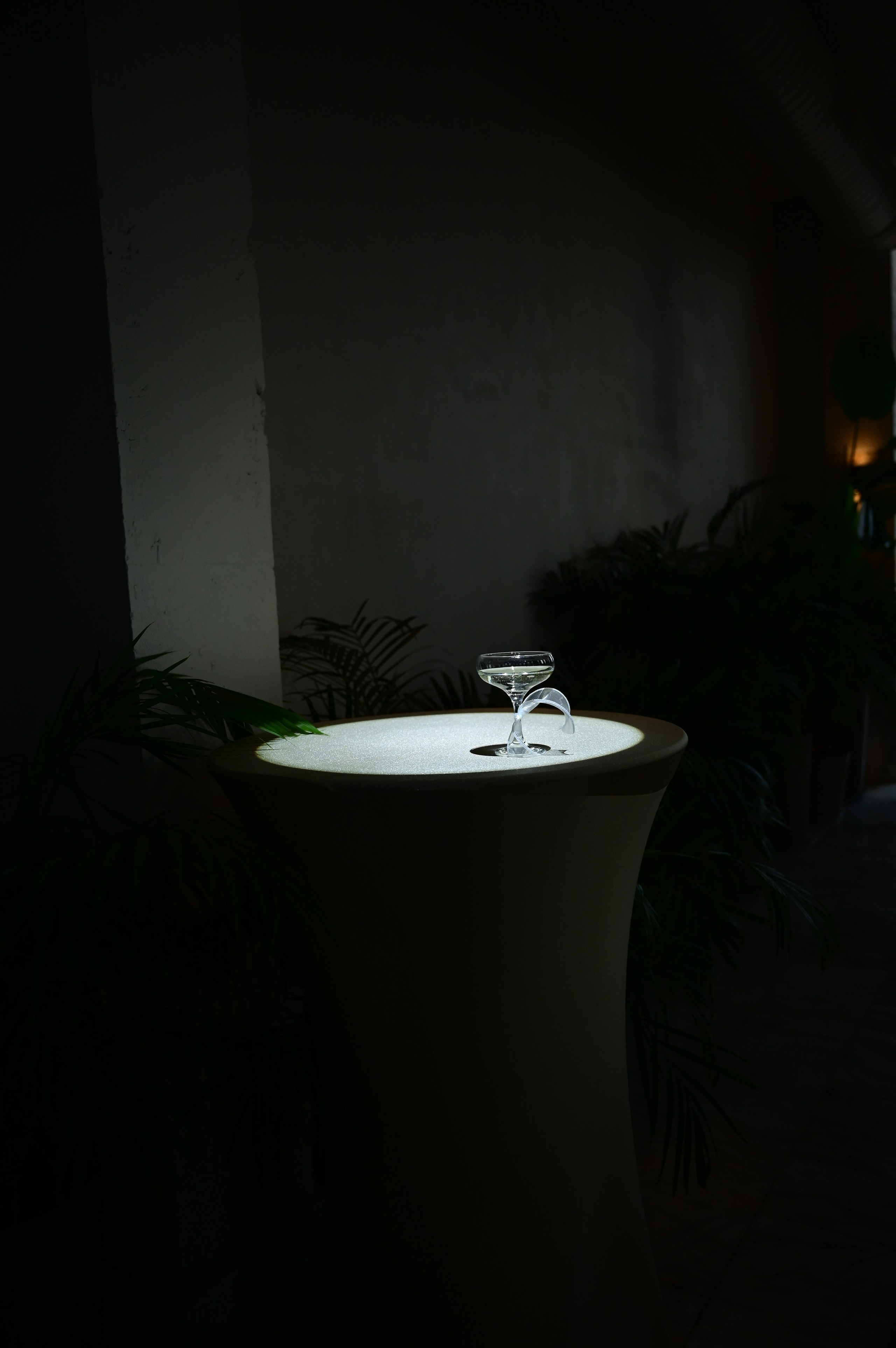 Birthday Dinner. Семейный и свадебный фотограф в Туле Москве