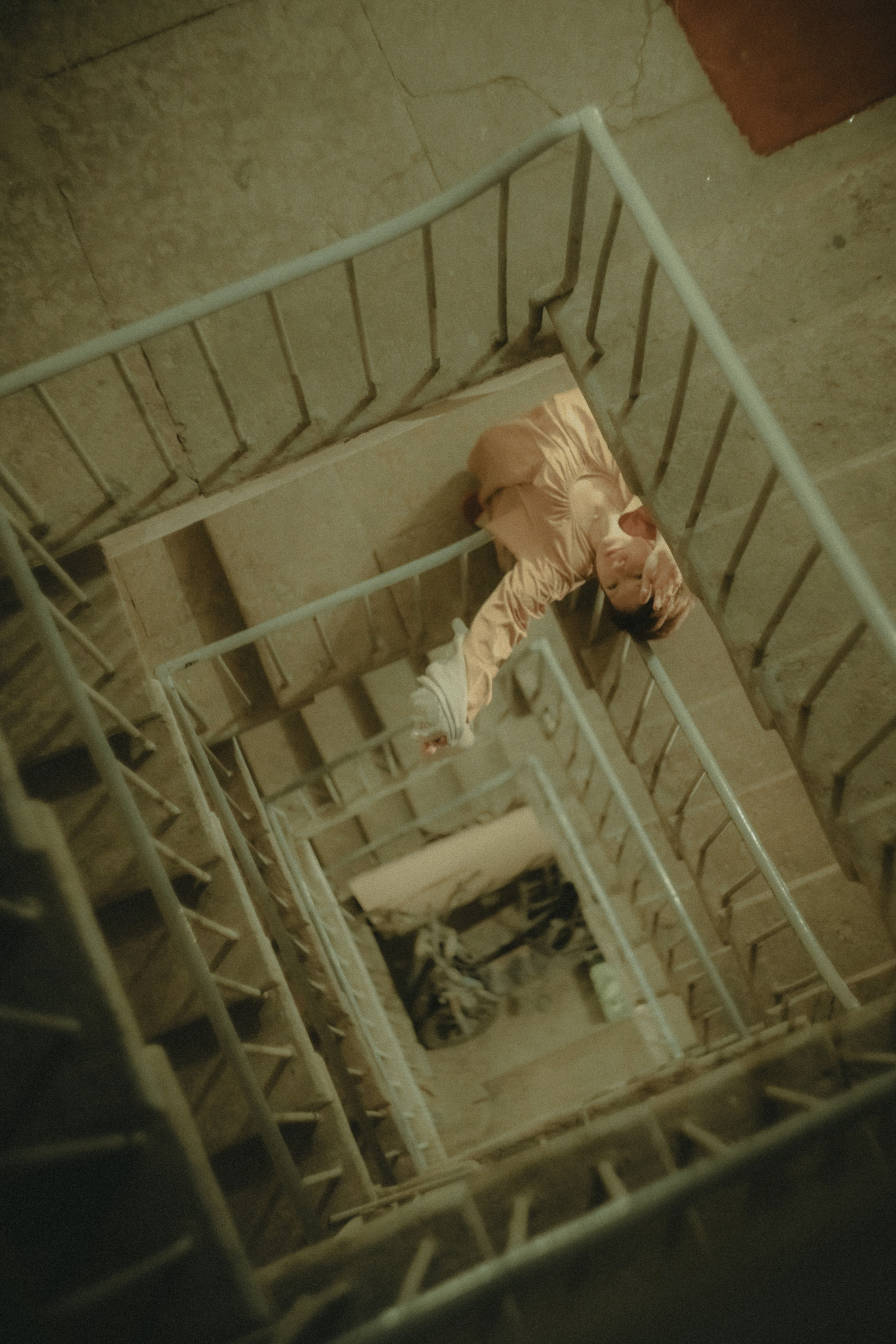 Стрекоза. Фотограф Крещение Венчание Москва