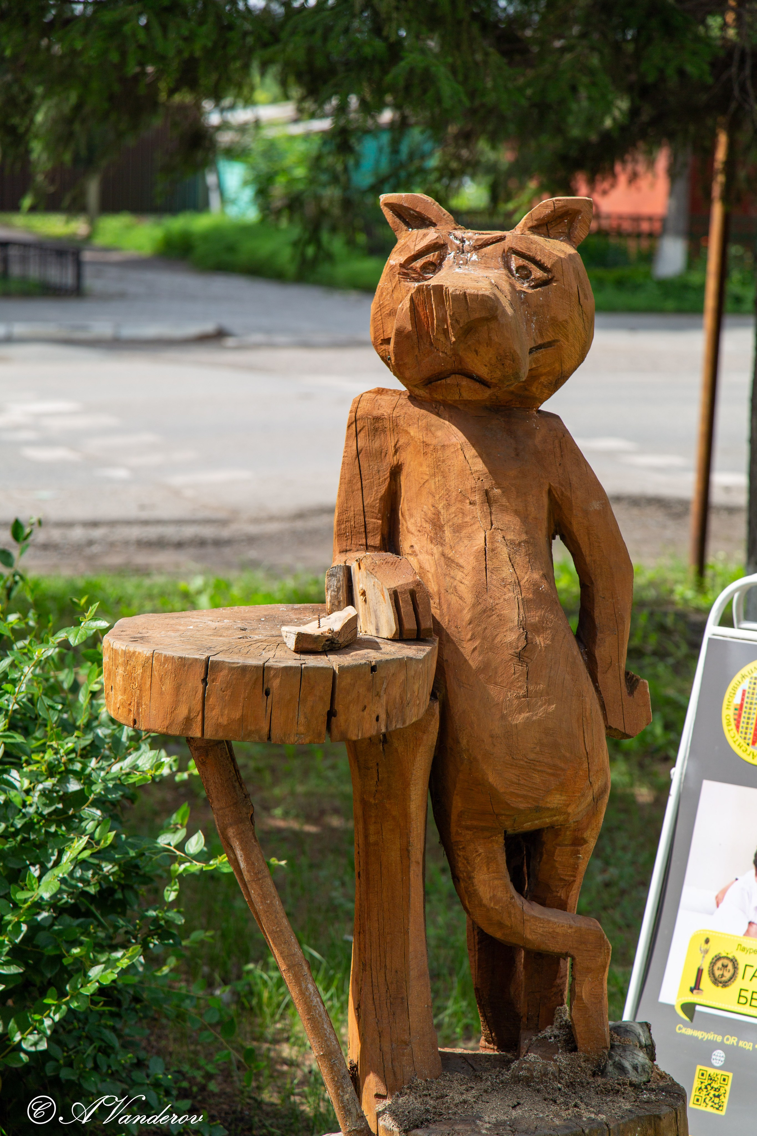 Калачинск 07.07.2024. Фотограф Омск | Александр Вандеров