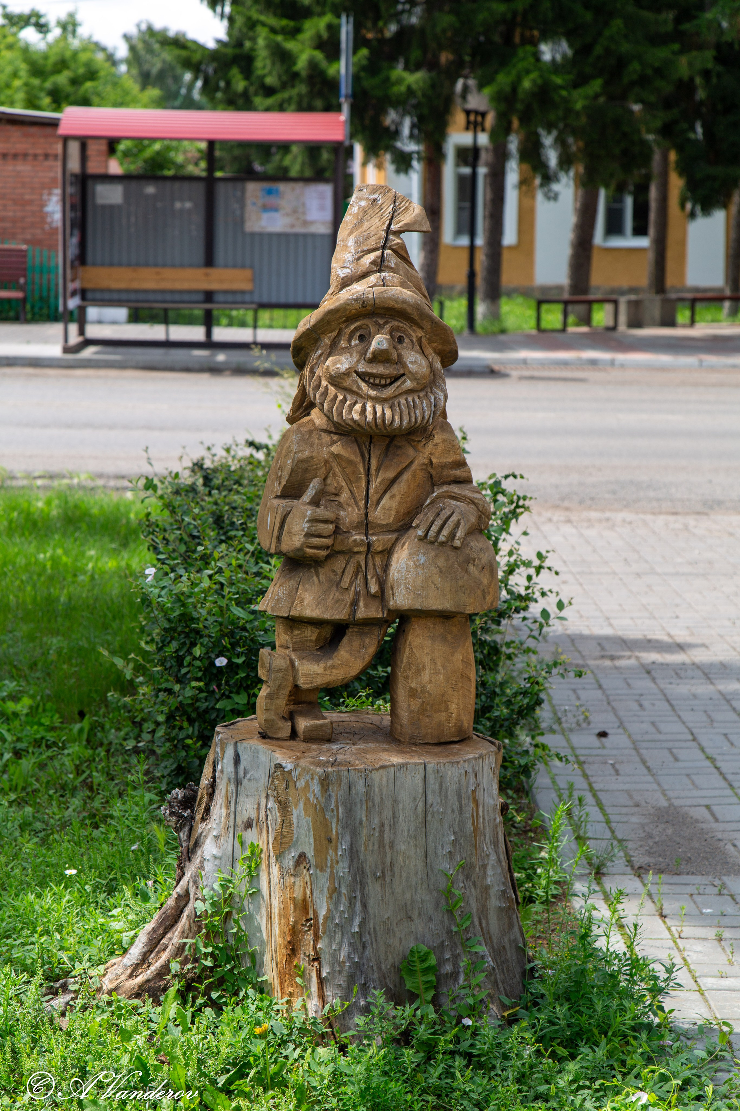 Калачинск 07.07.2024. Фотограф Омск | Александр Вандеров