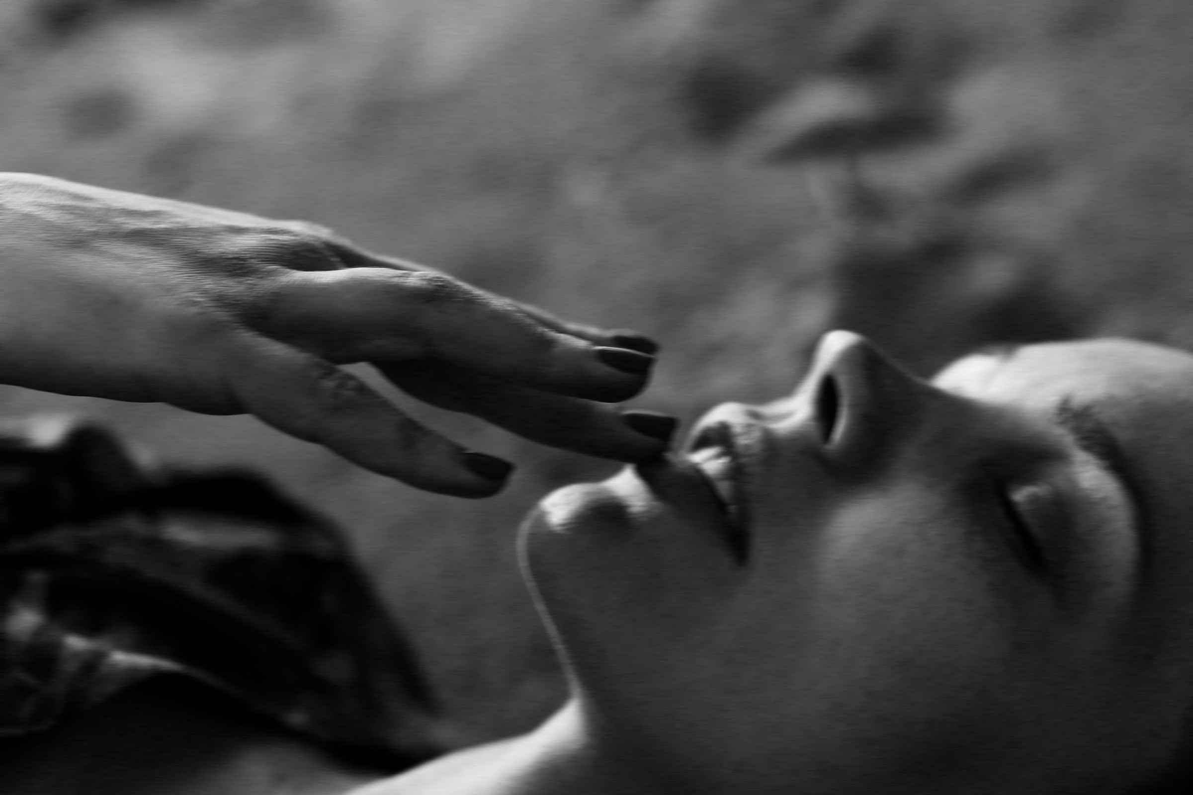 Фотосессия Дины. Фотограф Ксения Дзюбак Самара-Москва