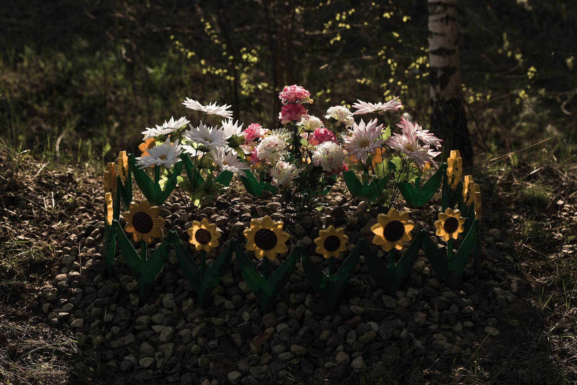 Кладбище домашних животных. Промышленная и репортажная фотография