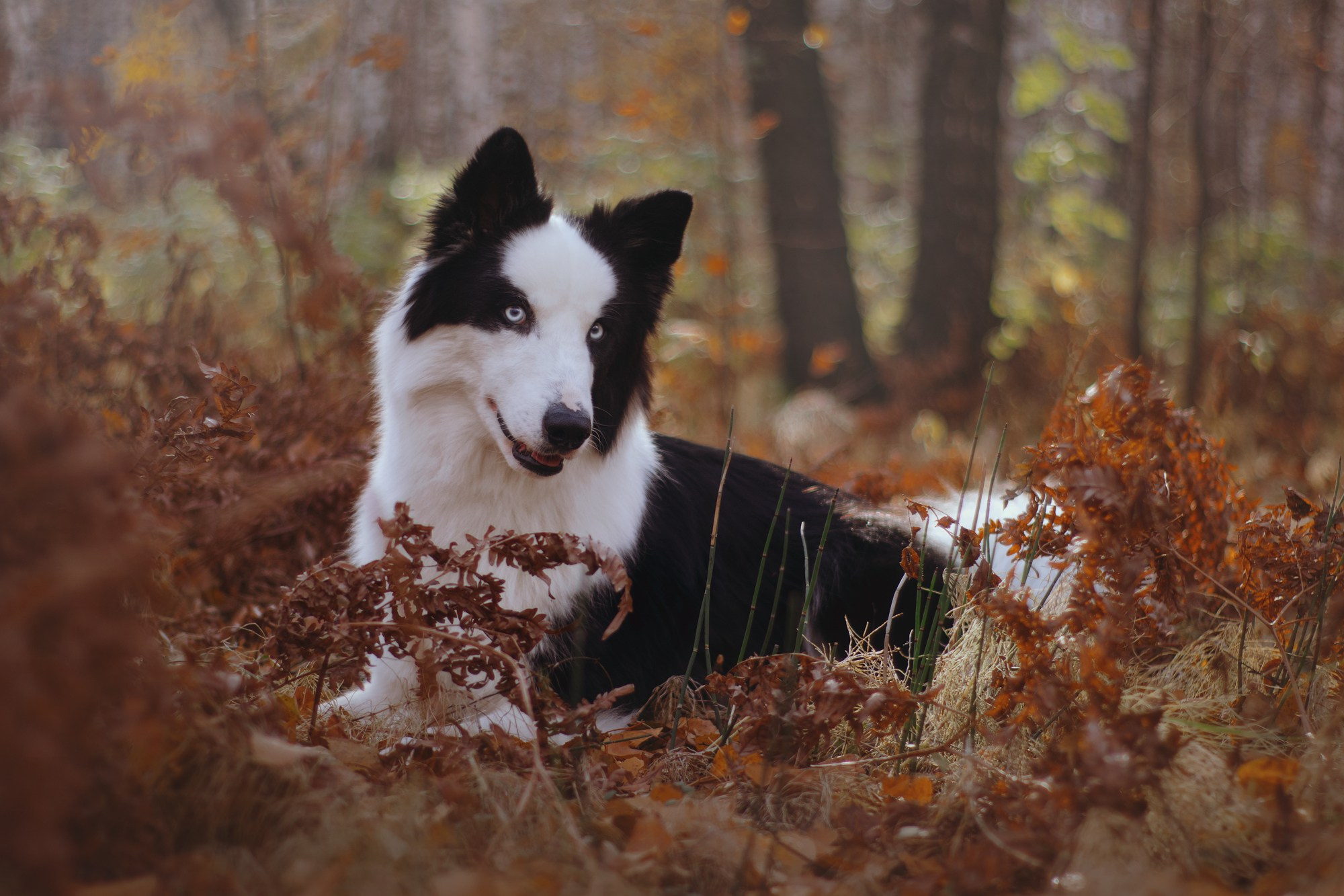 Ликёр. Фотограф в Тюмени Лизавета Сапицкая