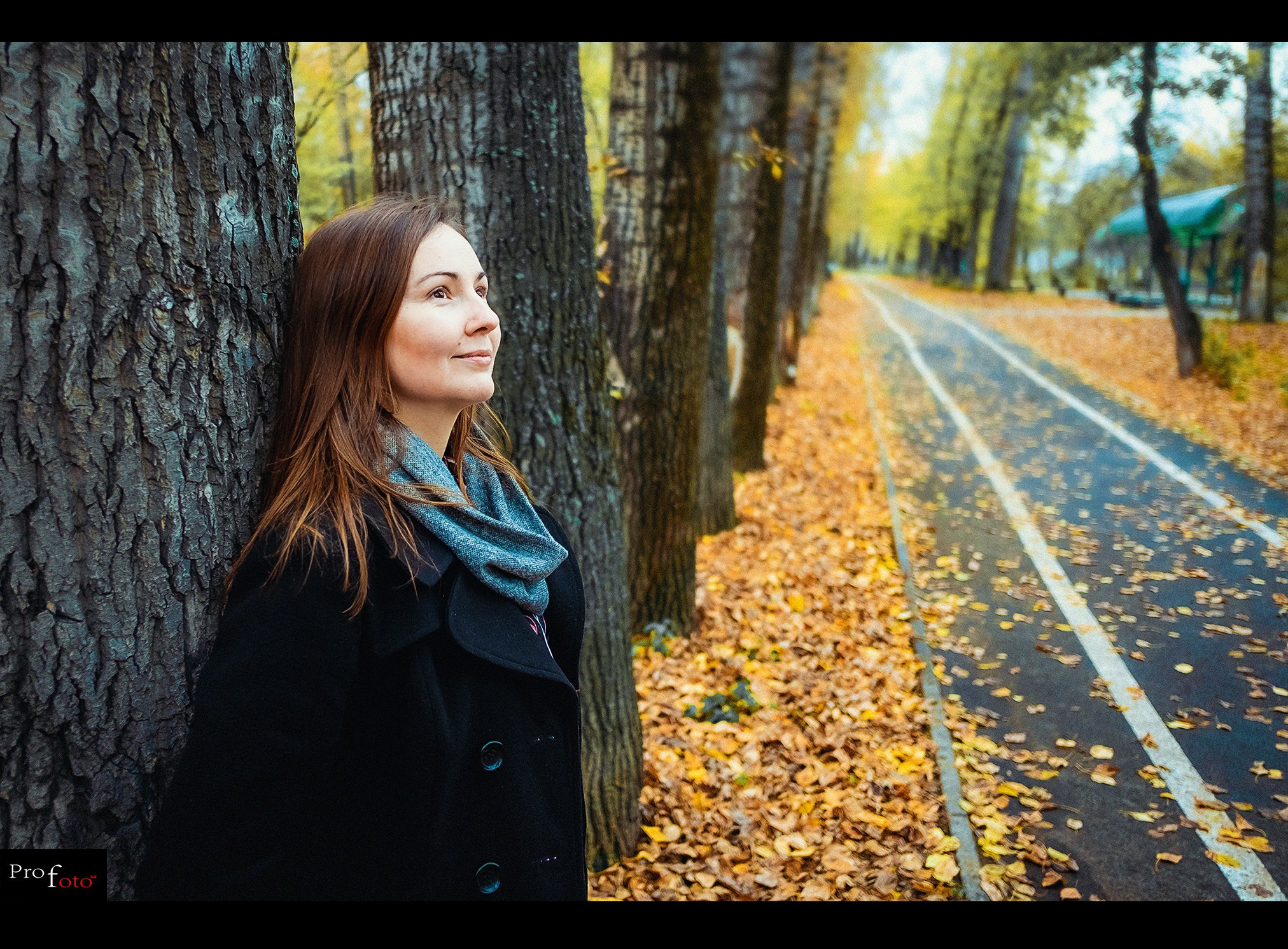 Разное. ProfotoNK