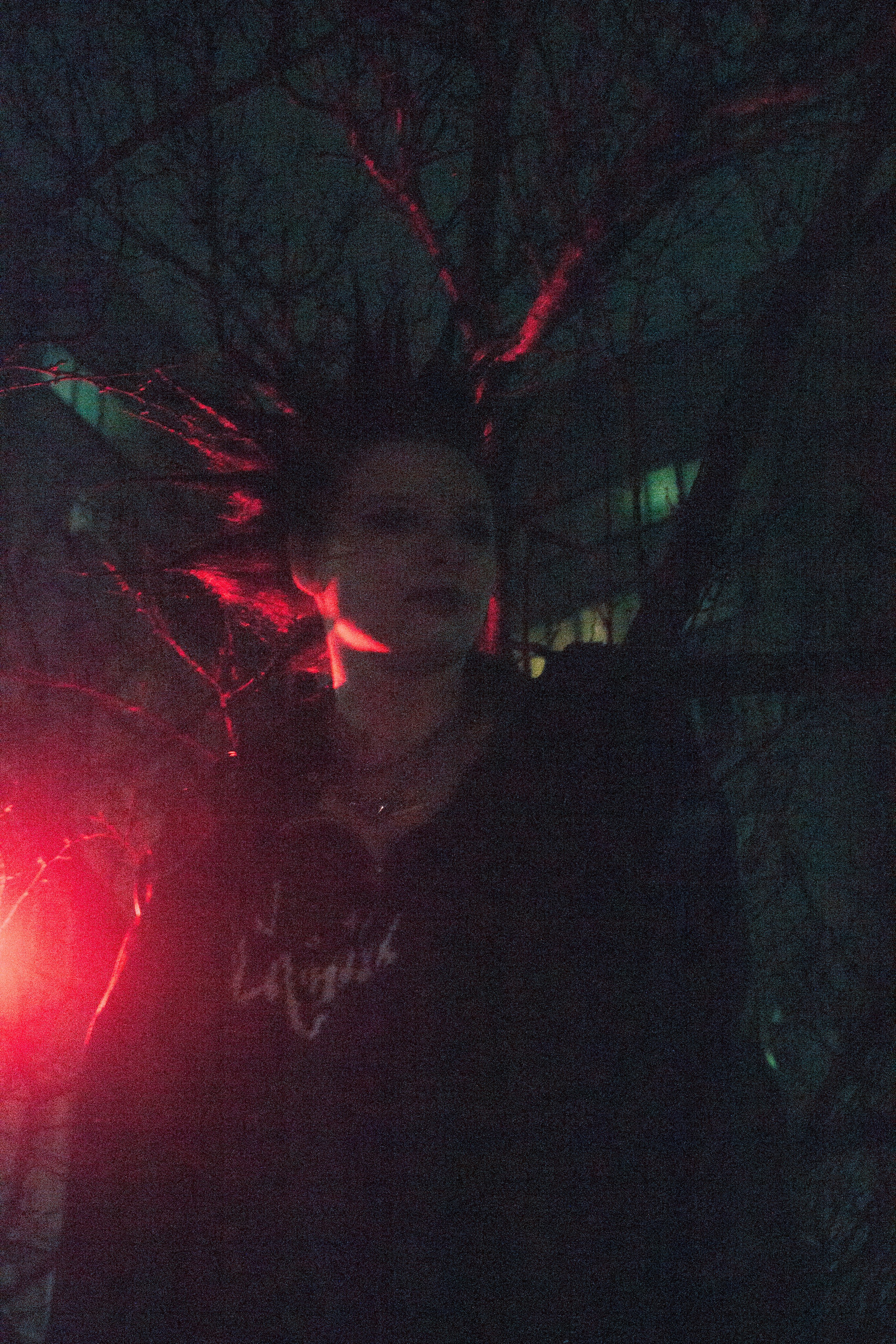 Гошок жив?. Костенко Анна pdie