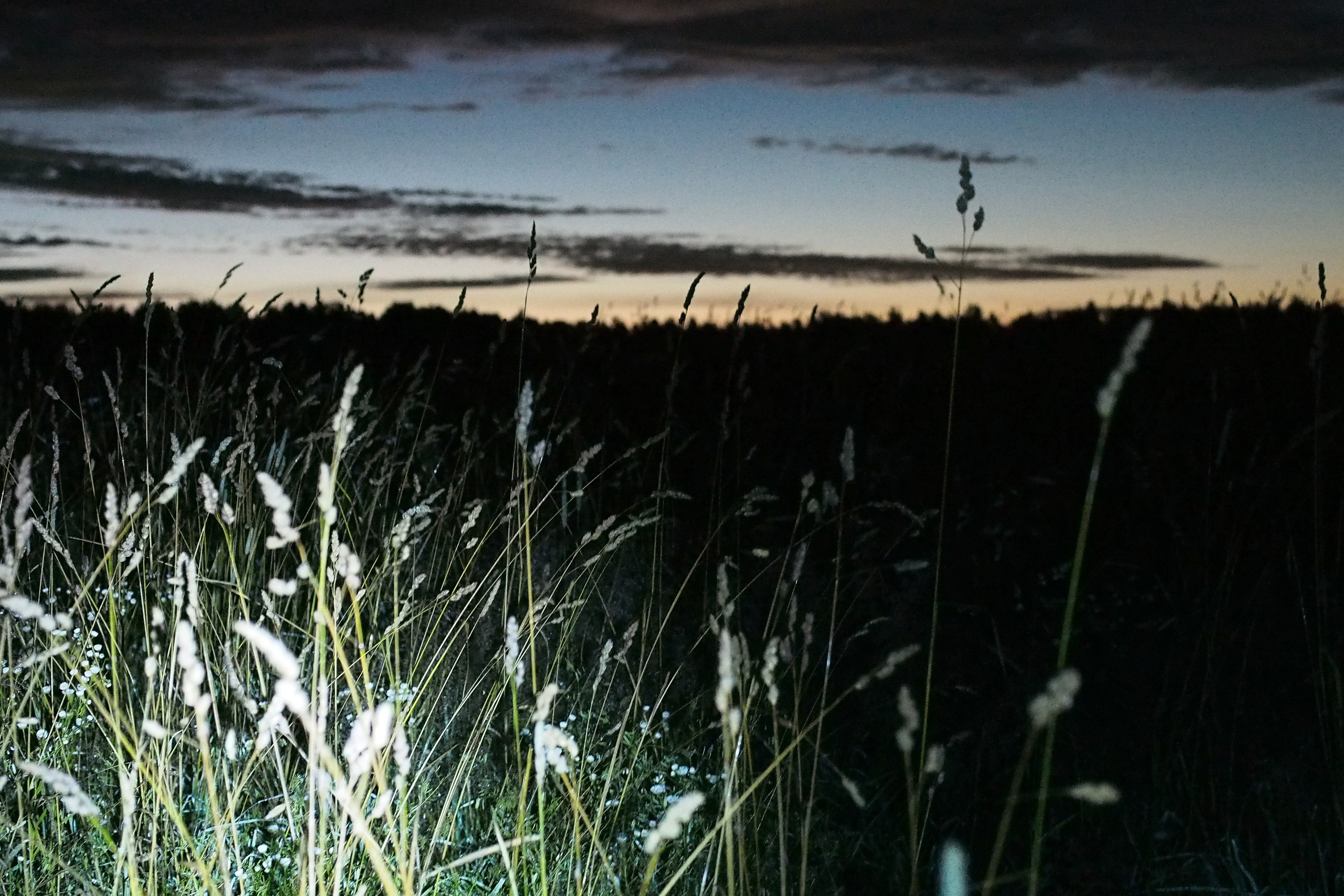 Фестиваль Архстояние. Репортажный и интерьерный фотограф Александра Солдатова