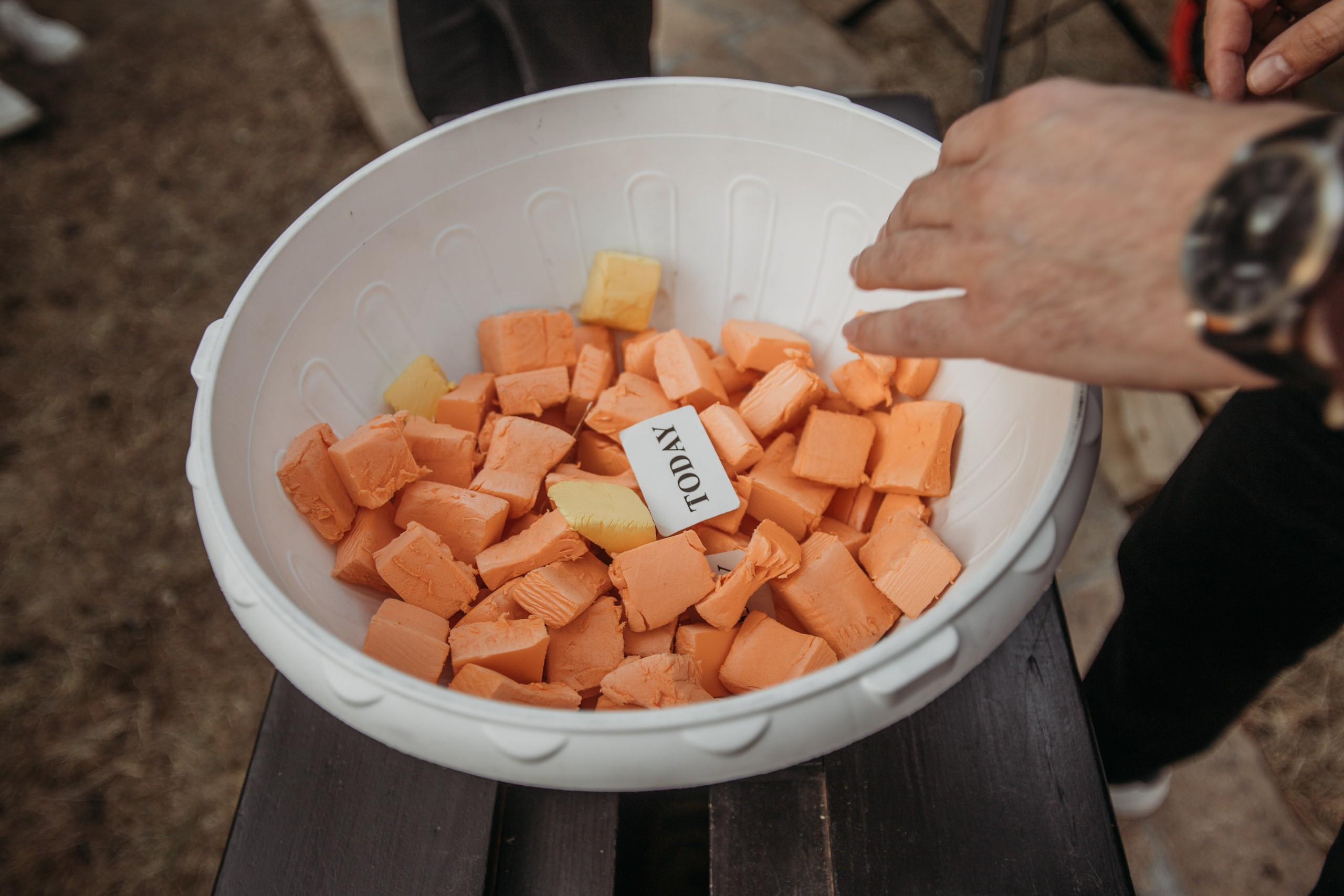 Корпоратив Muza_Arts. Венера Гайн. Репортажный фотограф  Тюмень. Обучение фотографии с 0