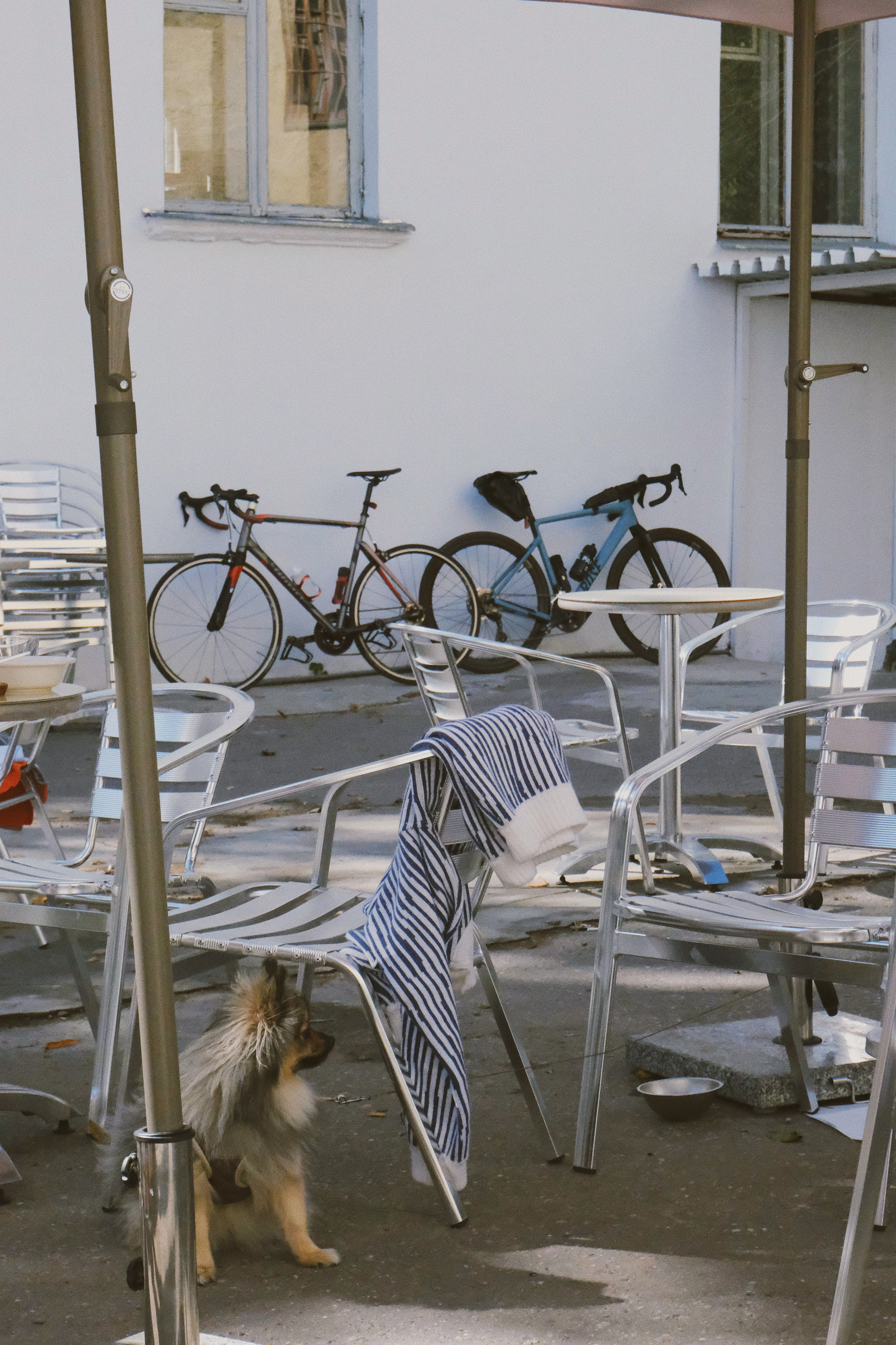 Кривоколенный 9с3. Татьян гертье