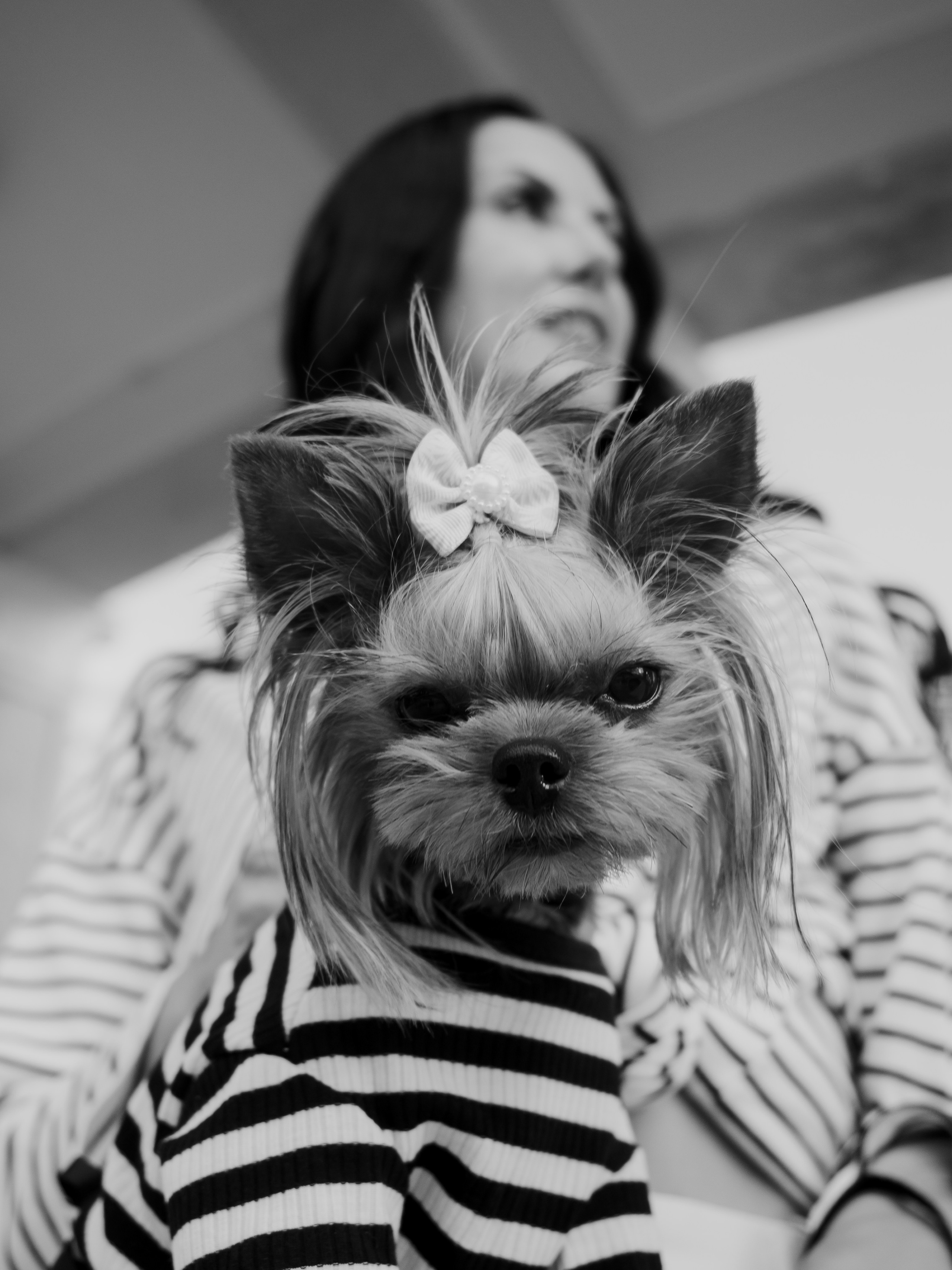 Фотопрогулка с питомцем. Маруся Машкова • Фотограф в Москве