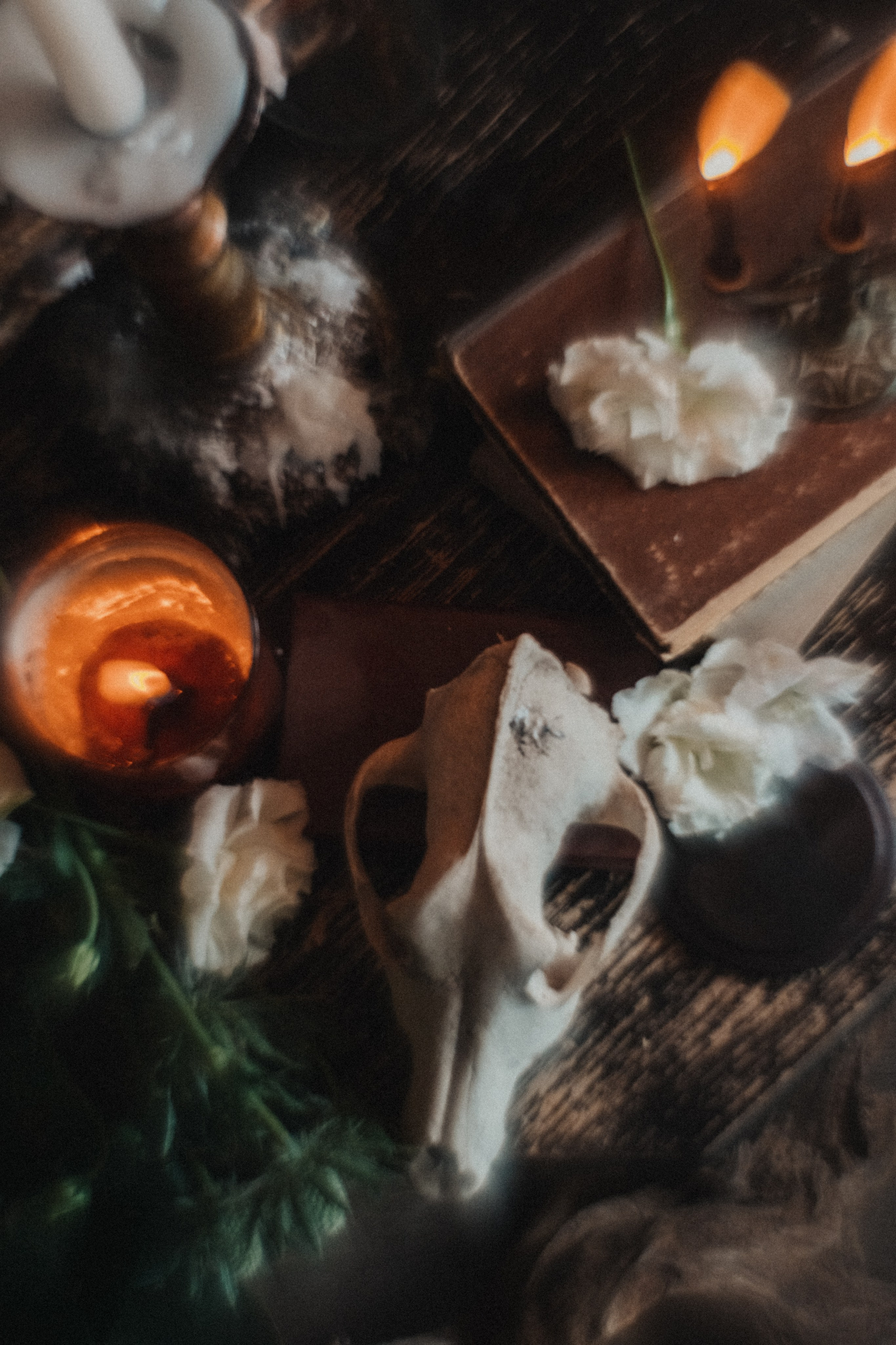 LFDM. Andrew Sozonov visual artist