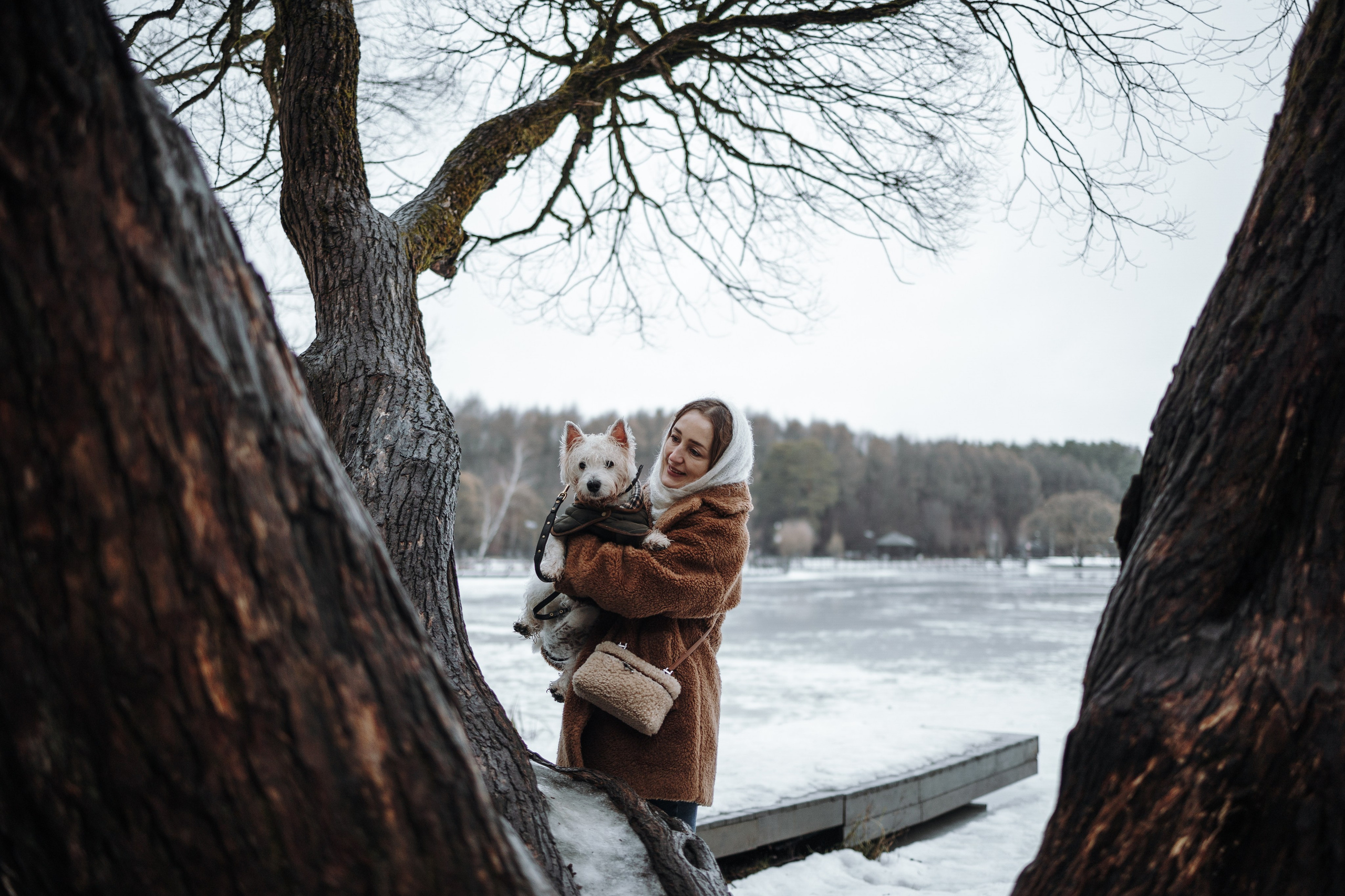 Шелби, Ватсон и ребята. Фотограф — Анималист | Санкт-Петербург