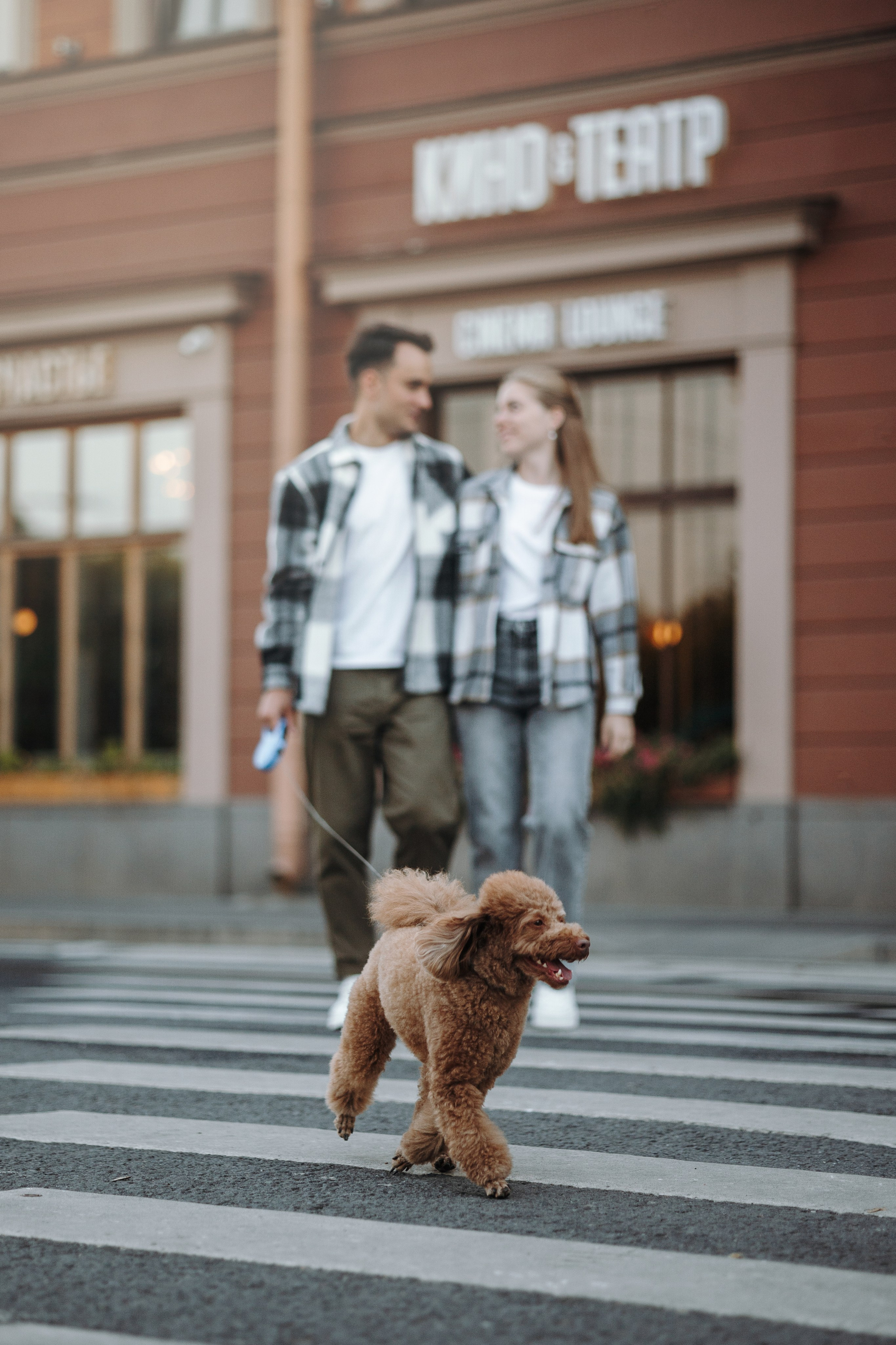 Барни и его семья. Фотограф — Анималист | Санкт-Петербург