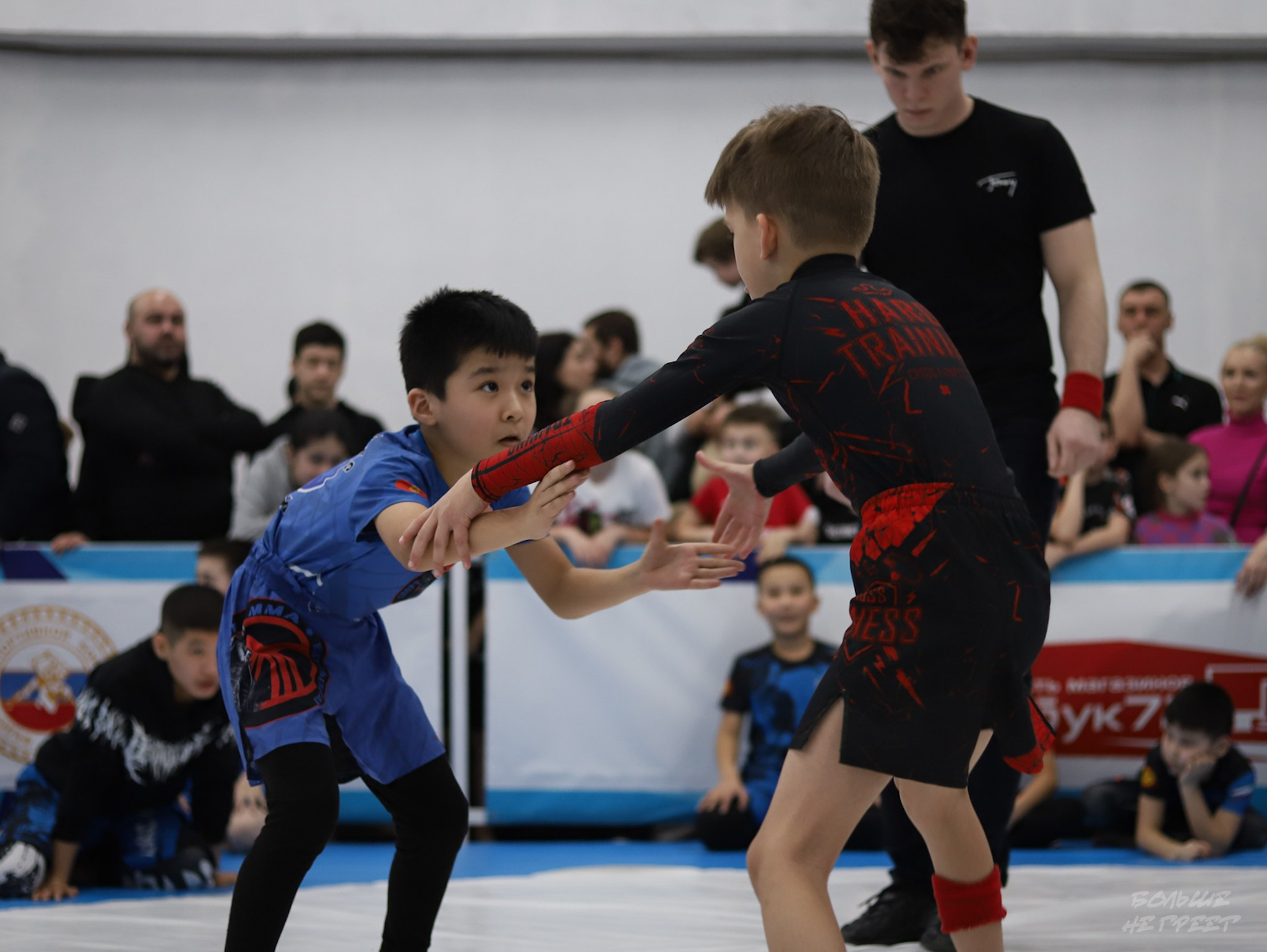 GORILLA PRIDE CUP. Больше не греет