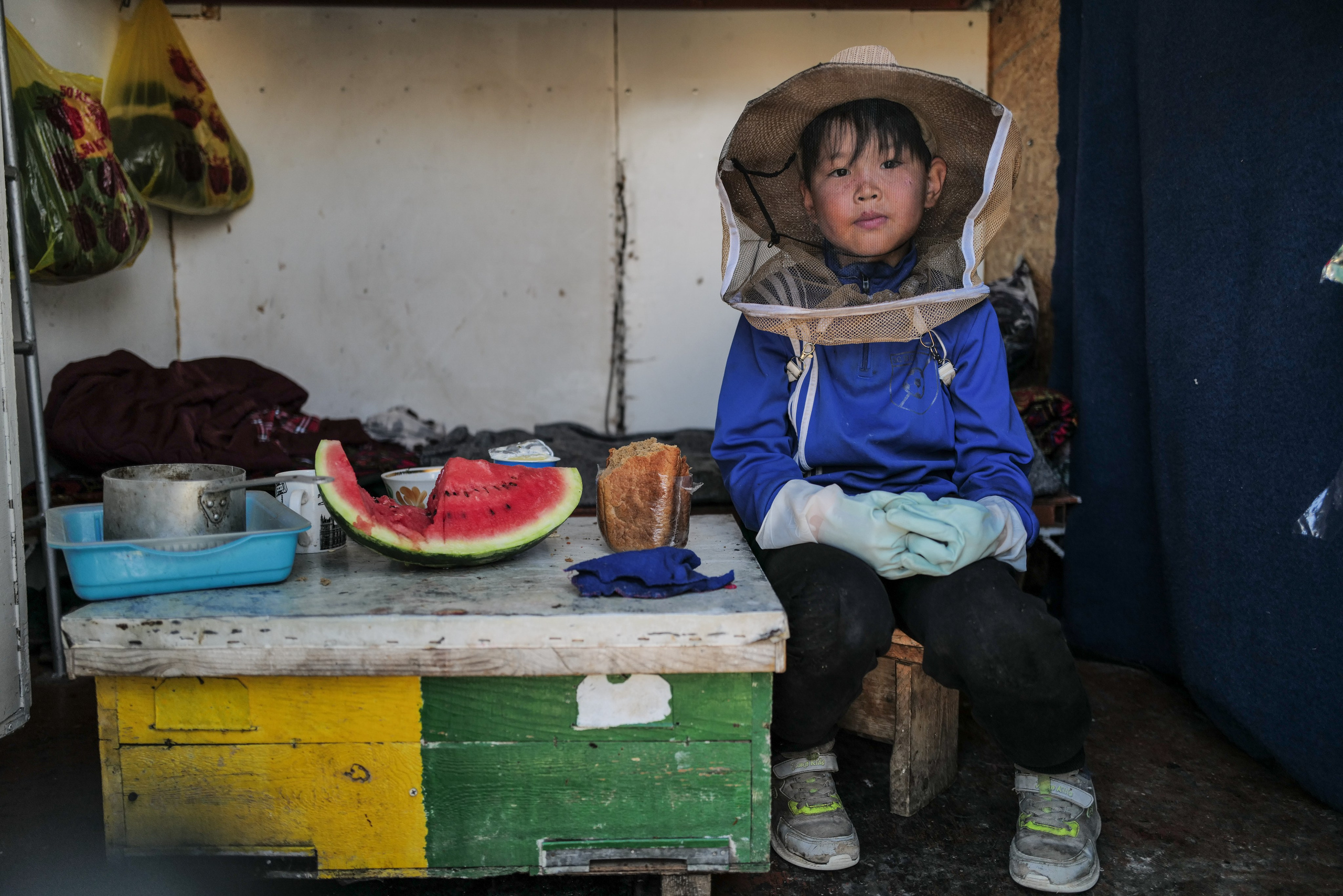 Юный пасечник. Кыргызстан, Нарынская область, август 2024 года