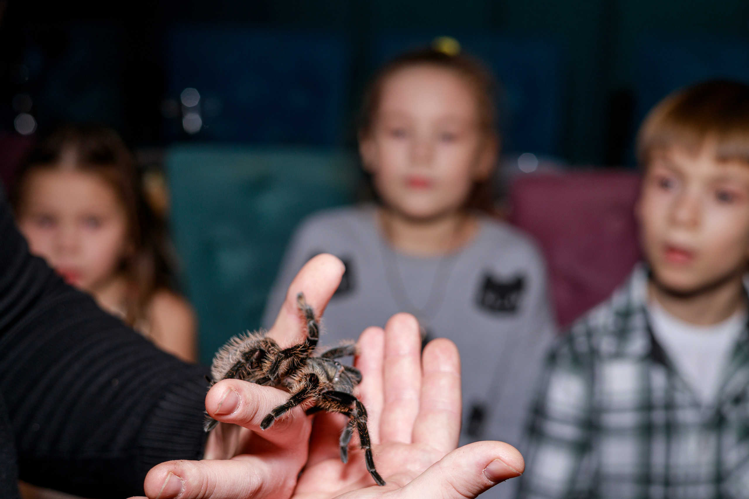 День рождение кафе. Фотограф Надршина Лилия
