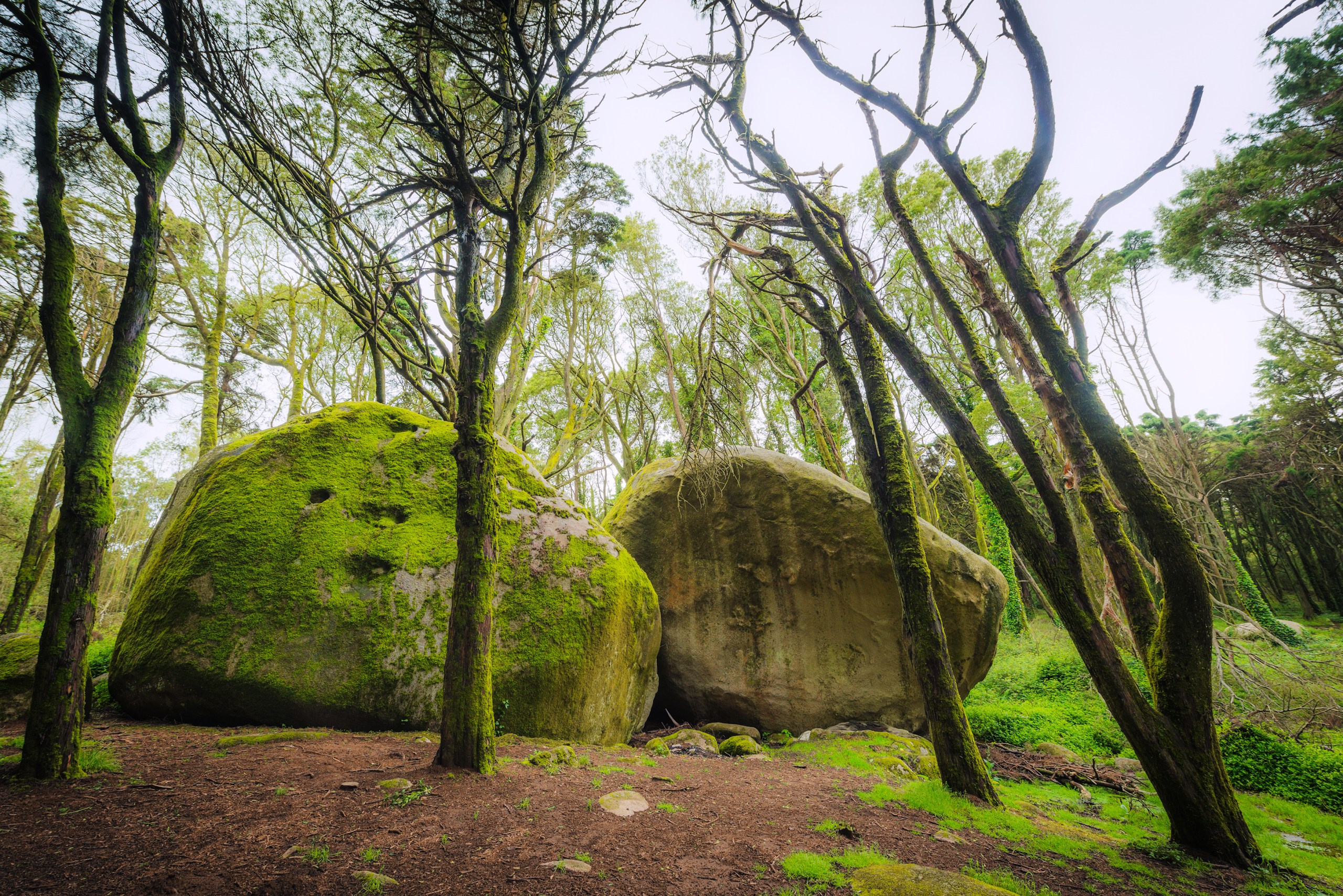 Пейзажная фотография. Авторские стильные фотокартины