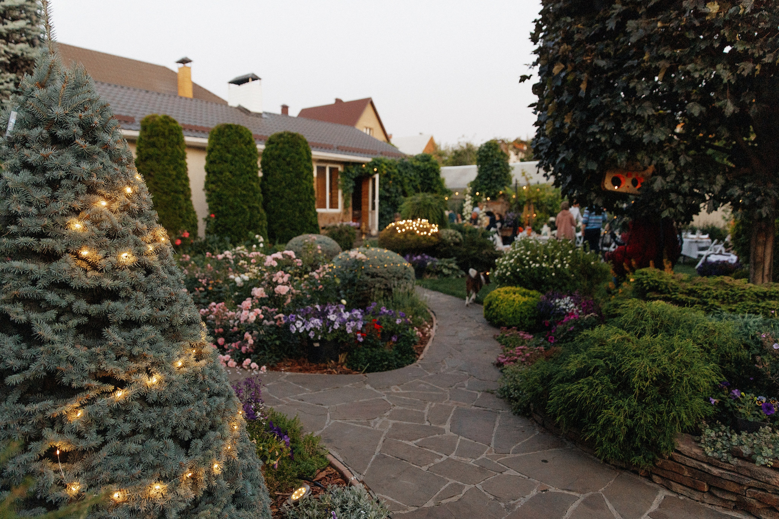 Алиса и Андрей. Катя Завьялова