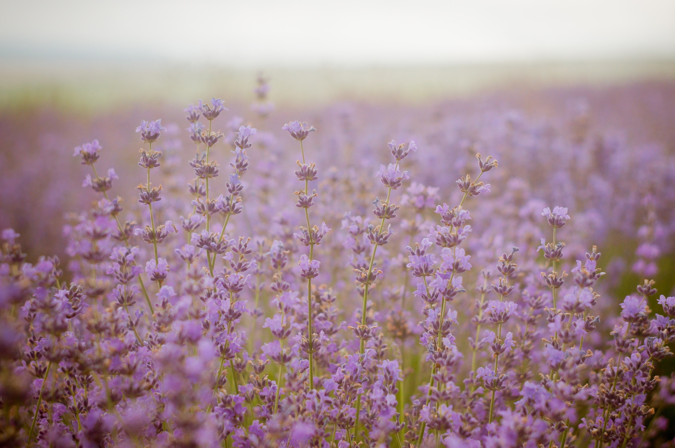 Люди, вещи и пейзажи